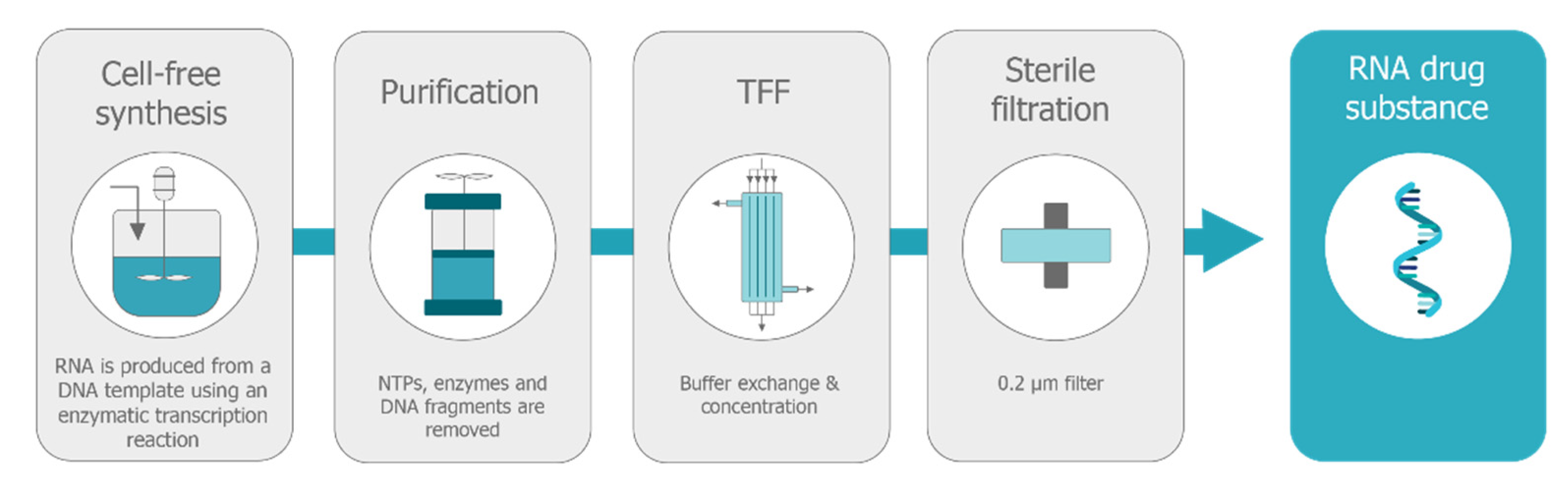 Vaccines 09 00097 g008