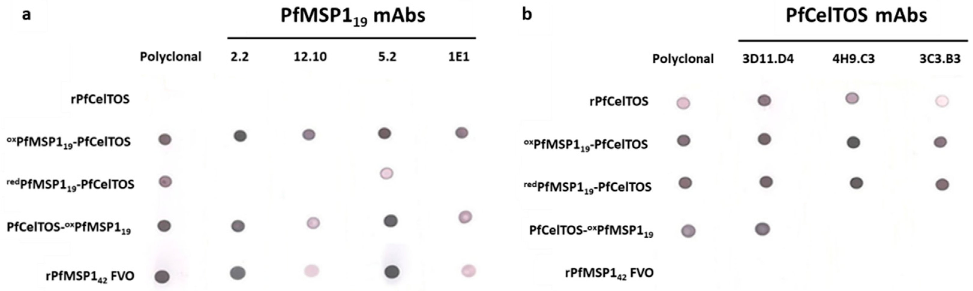 Vaccines 09 00103 g002