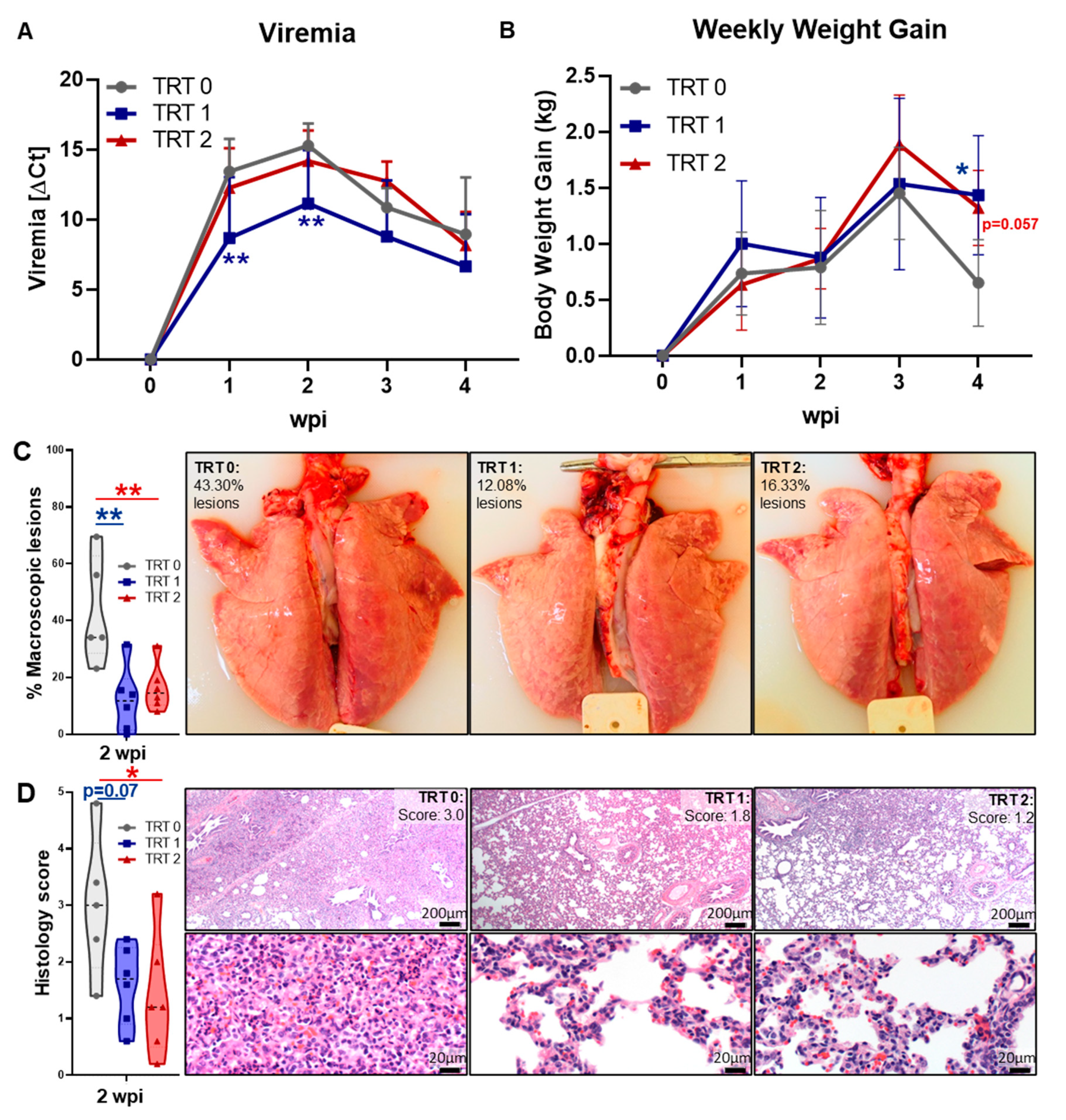Vaccines 09 00106 g002