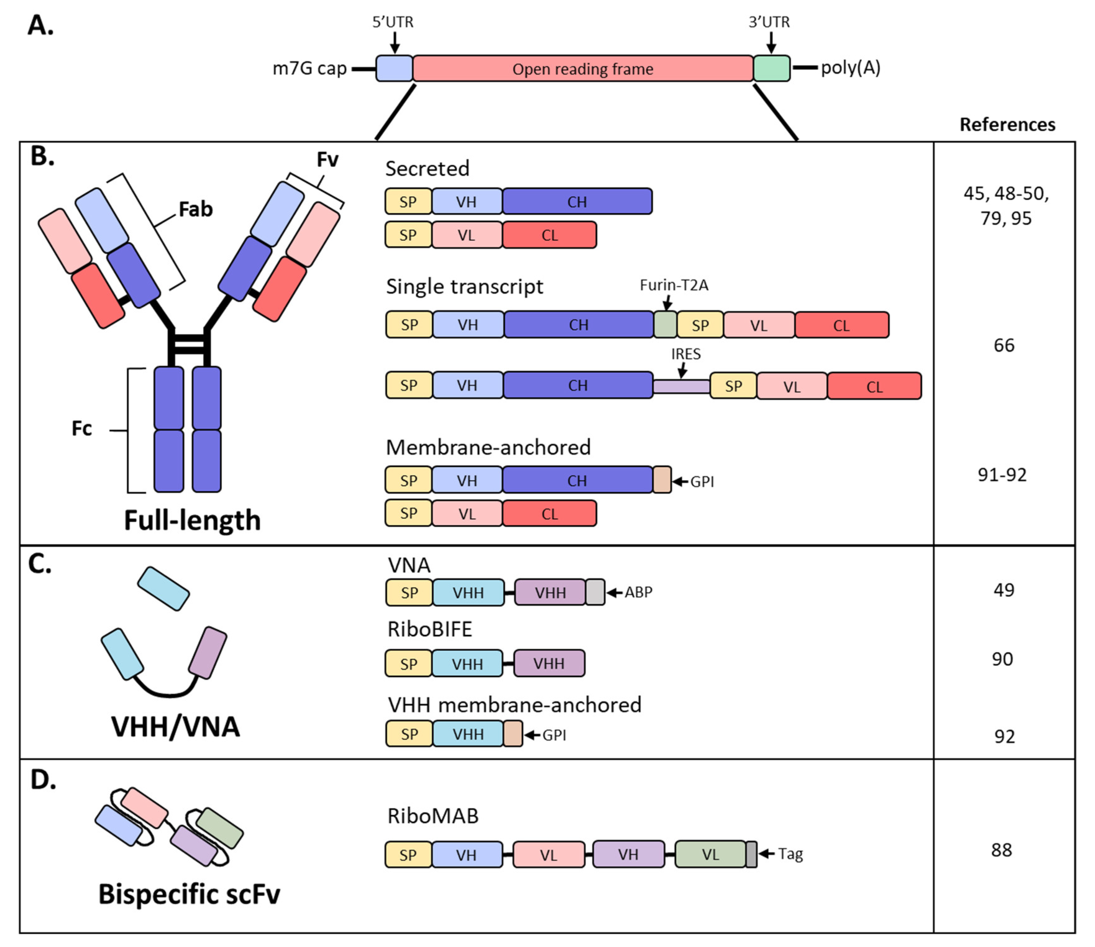 Vaccines 09 00108 g001 Vaccines 09 00108 g001