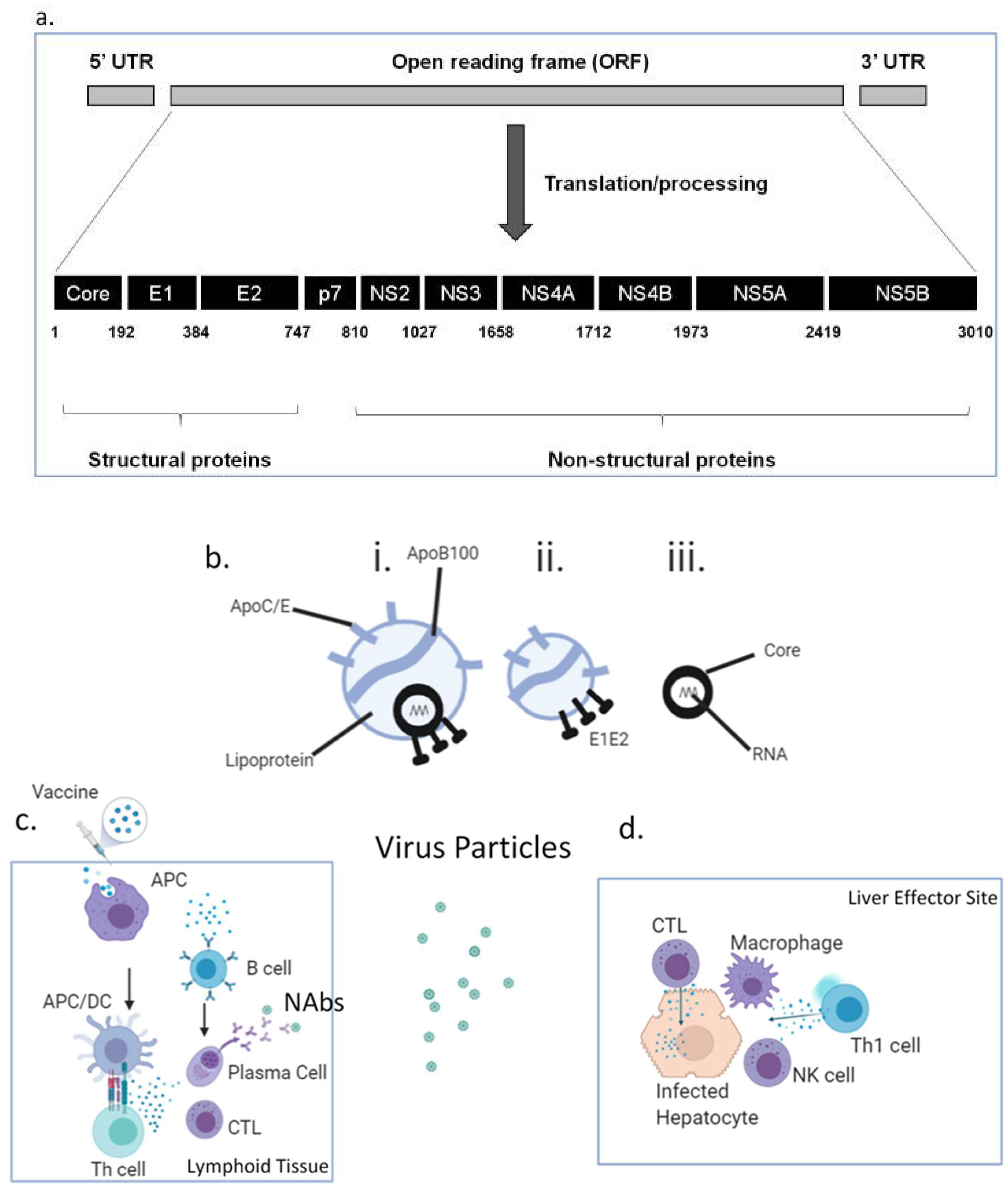 Vaccines 09 00114 g001