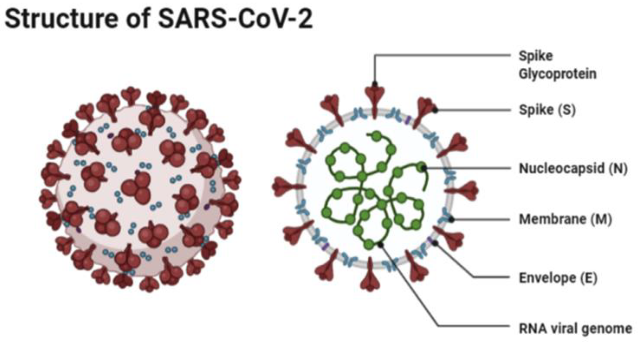 Vaccines 09 00120 g001