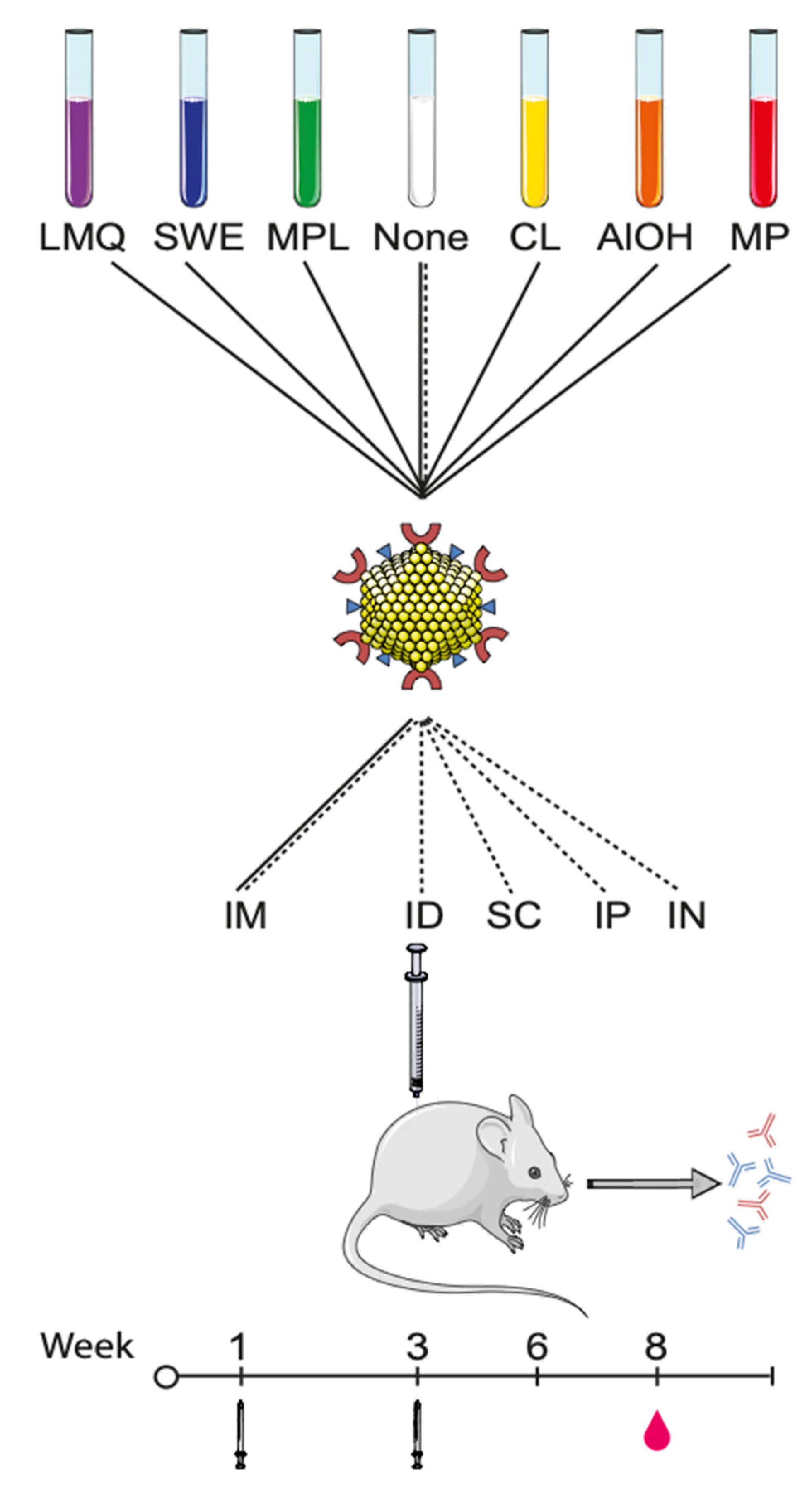 Vaccines 09 00131 g001
