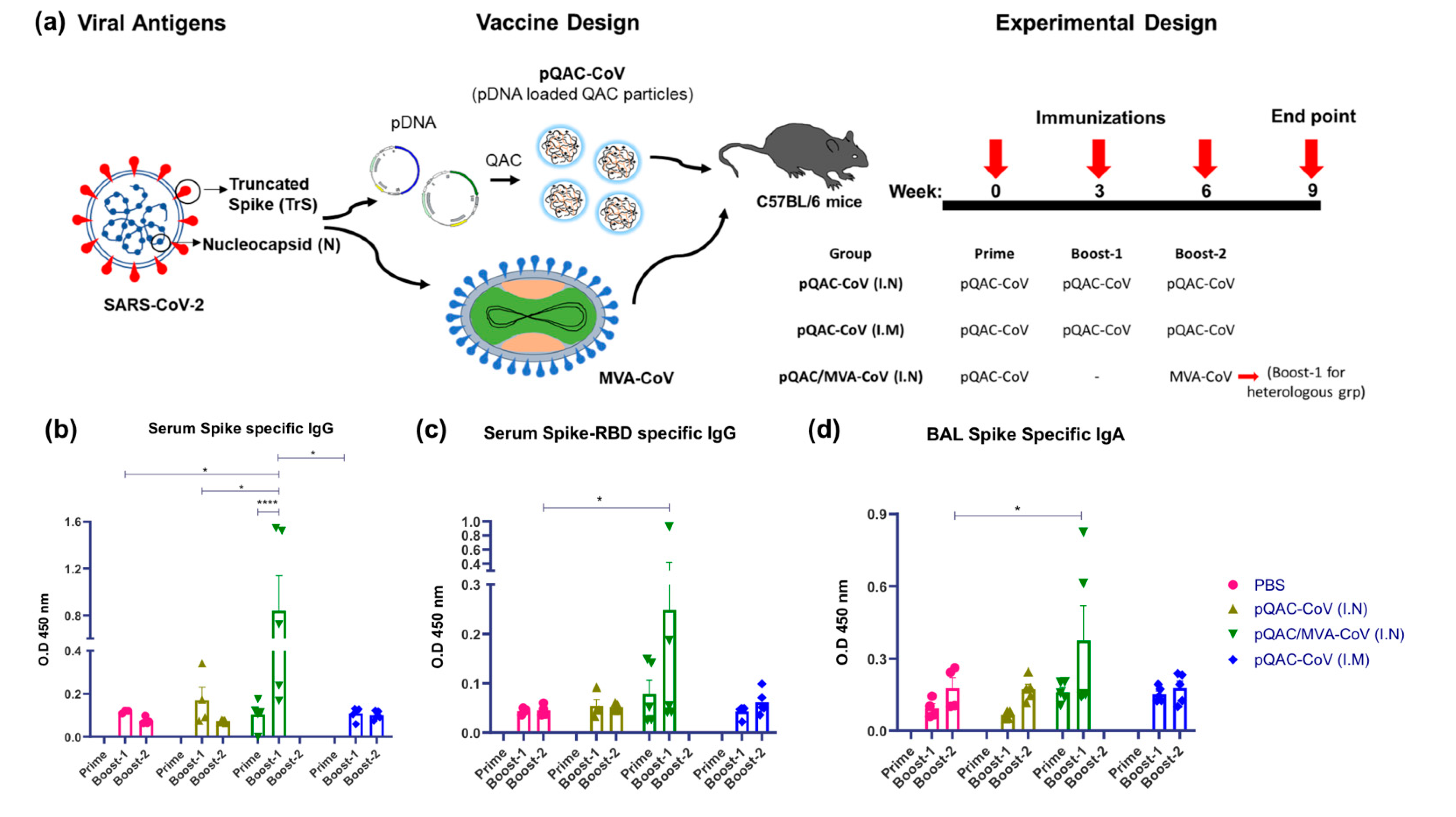 Vaccines 09 00132 g002 Vaccines 09 00132 g002