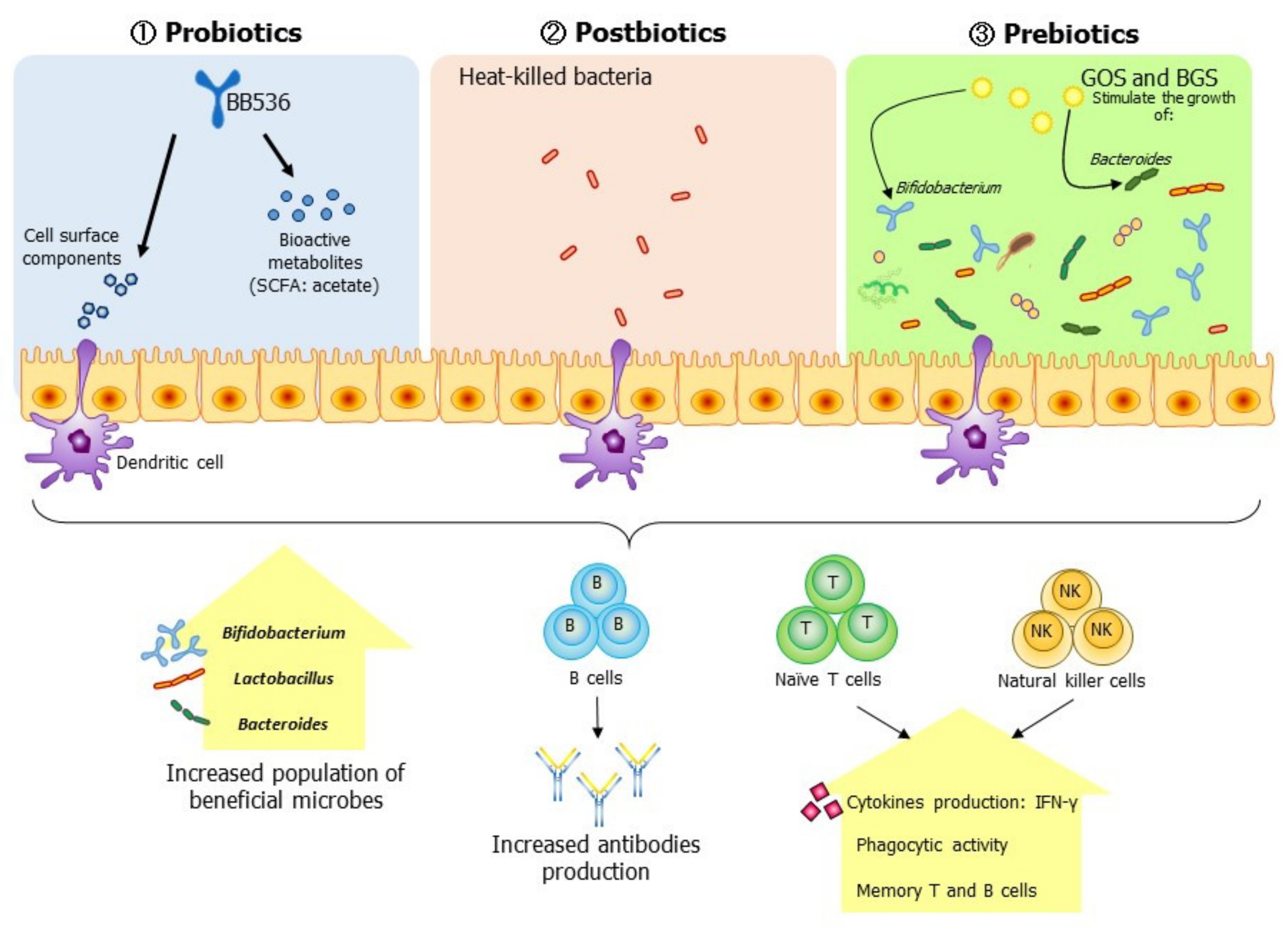 Vaccines 09 00136 g002 Vaccines 09 00136 g002