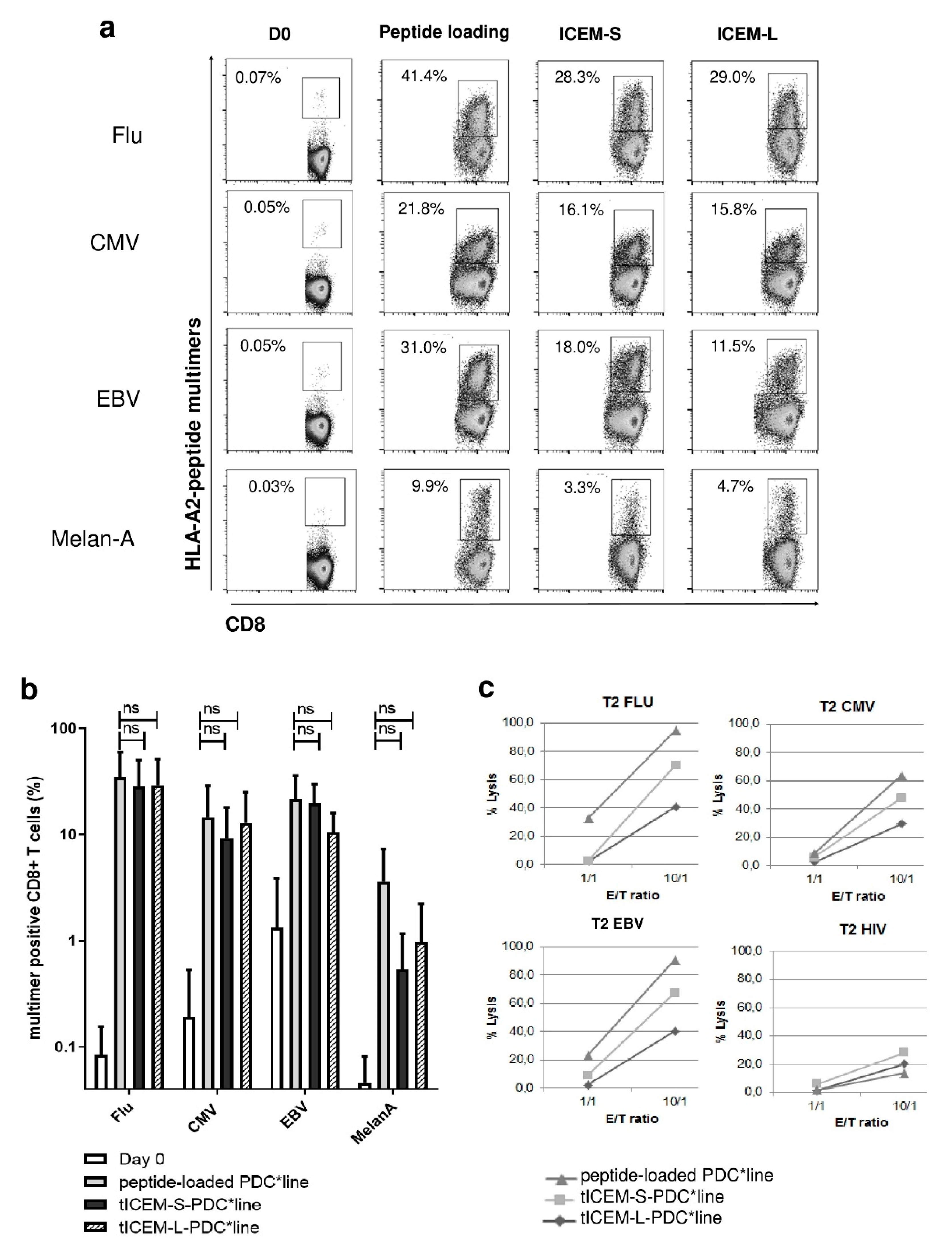 Vaccines 09 00141 g002