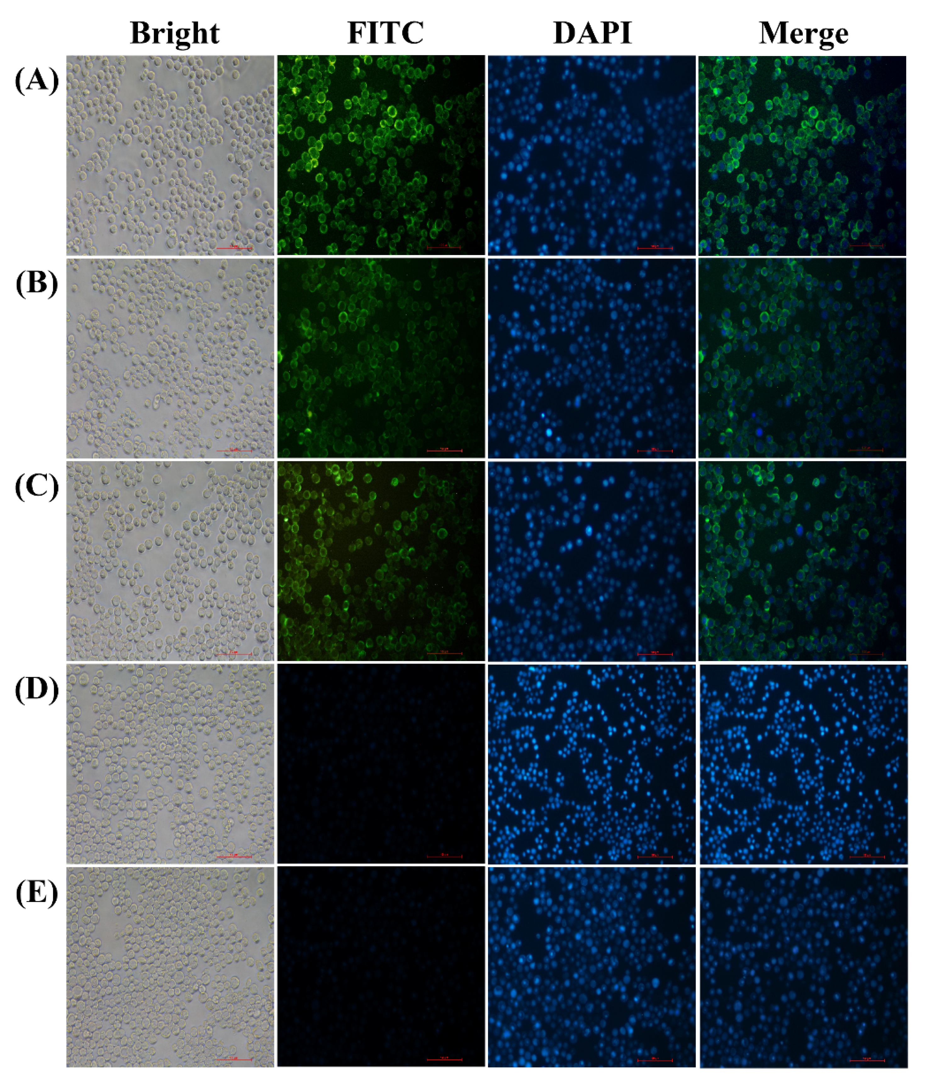 Vaccines 09 00146 g001 Vaccines 09 00146 g001