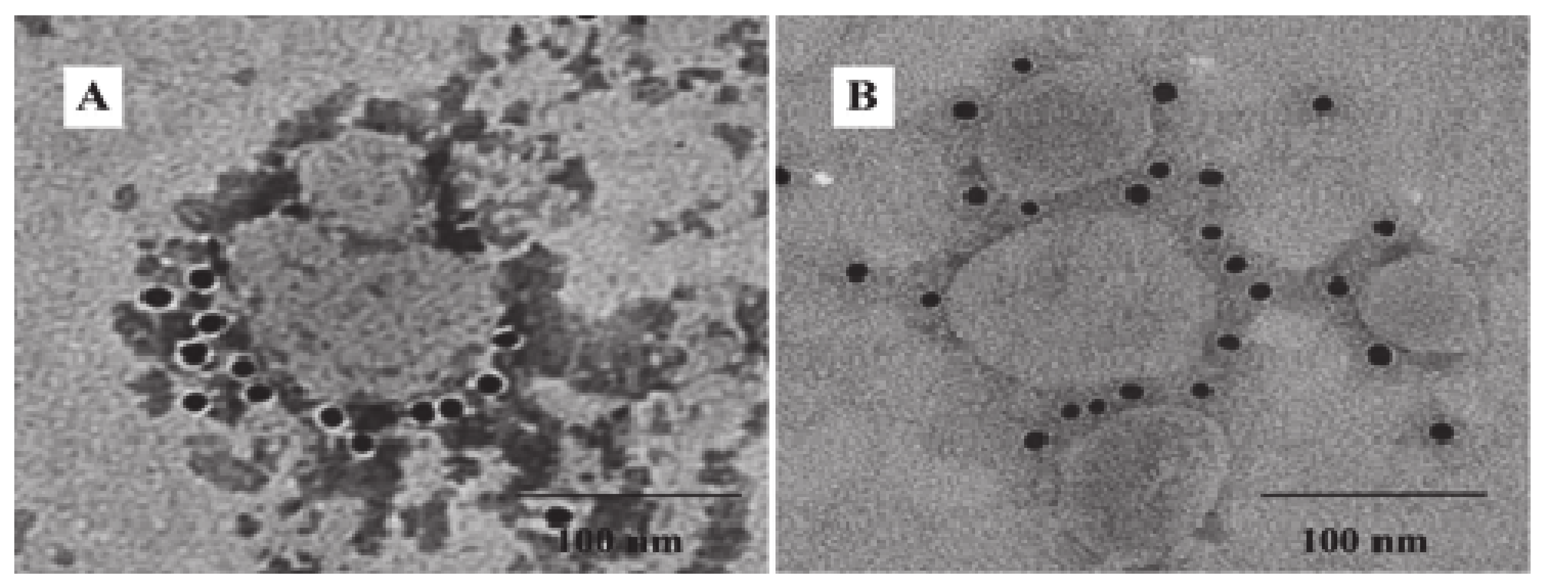 Vaccines 09 00146 g005 Vaccines 09 00146 g005