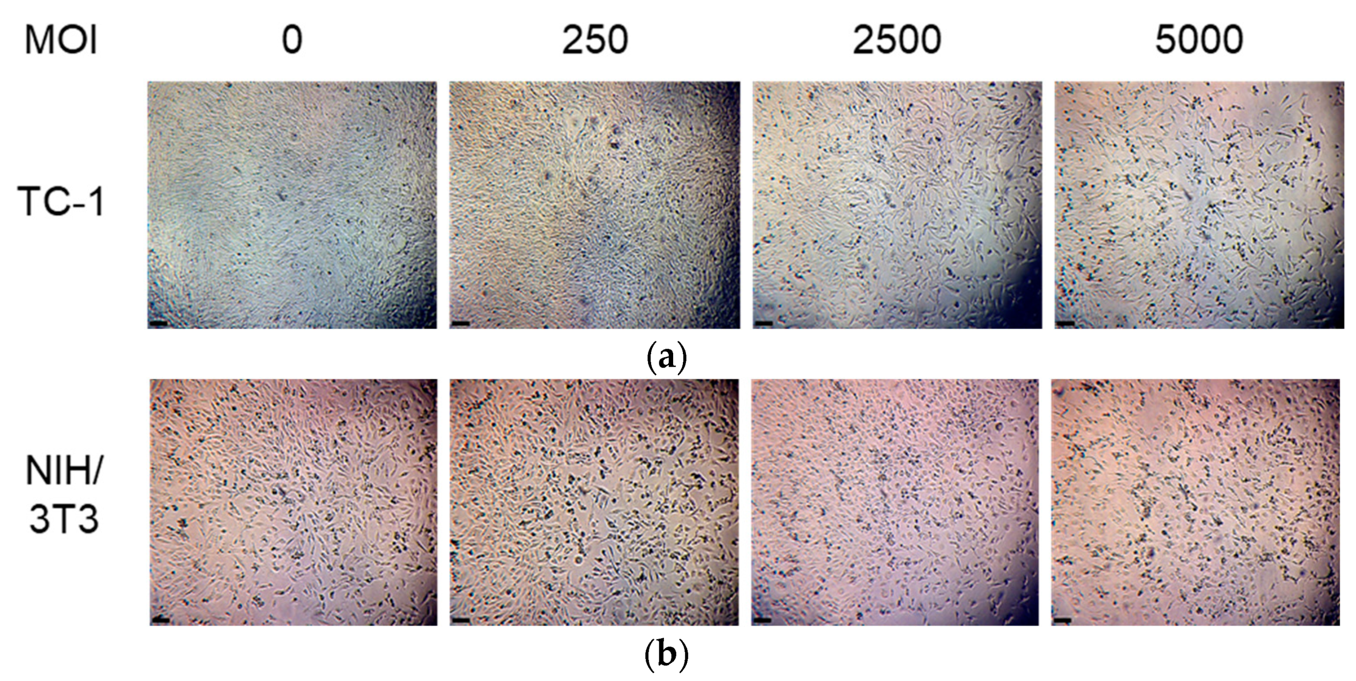 Vaccines 09 00149 g004