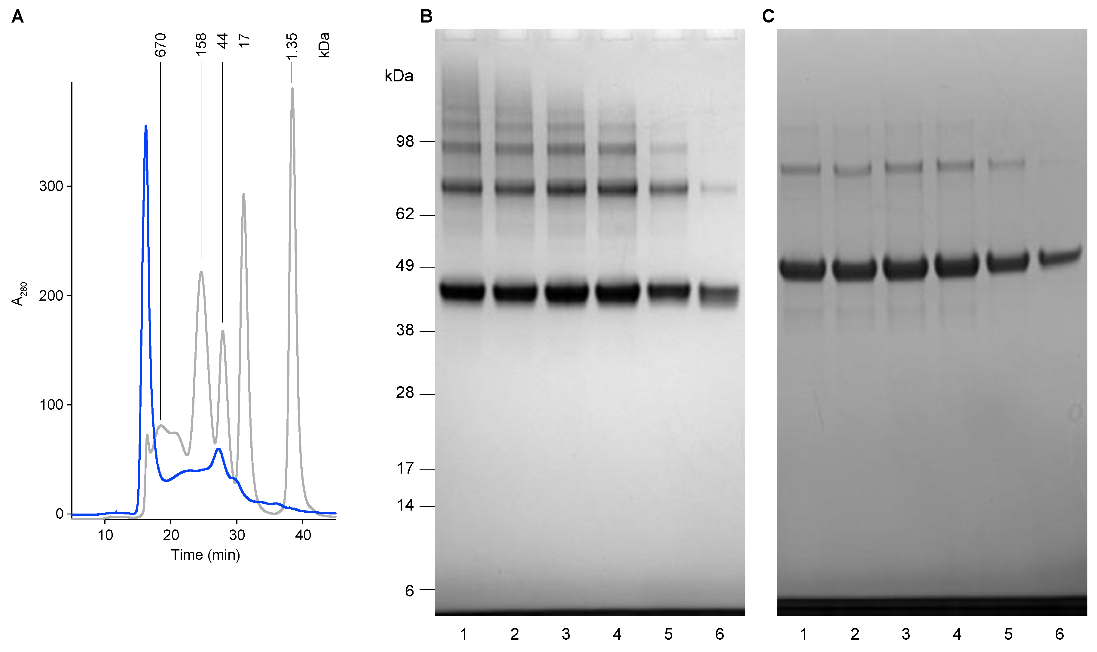Vaccines 09 00157 g002