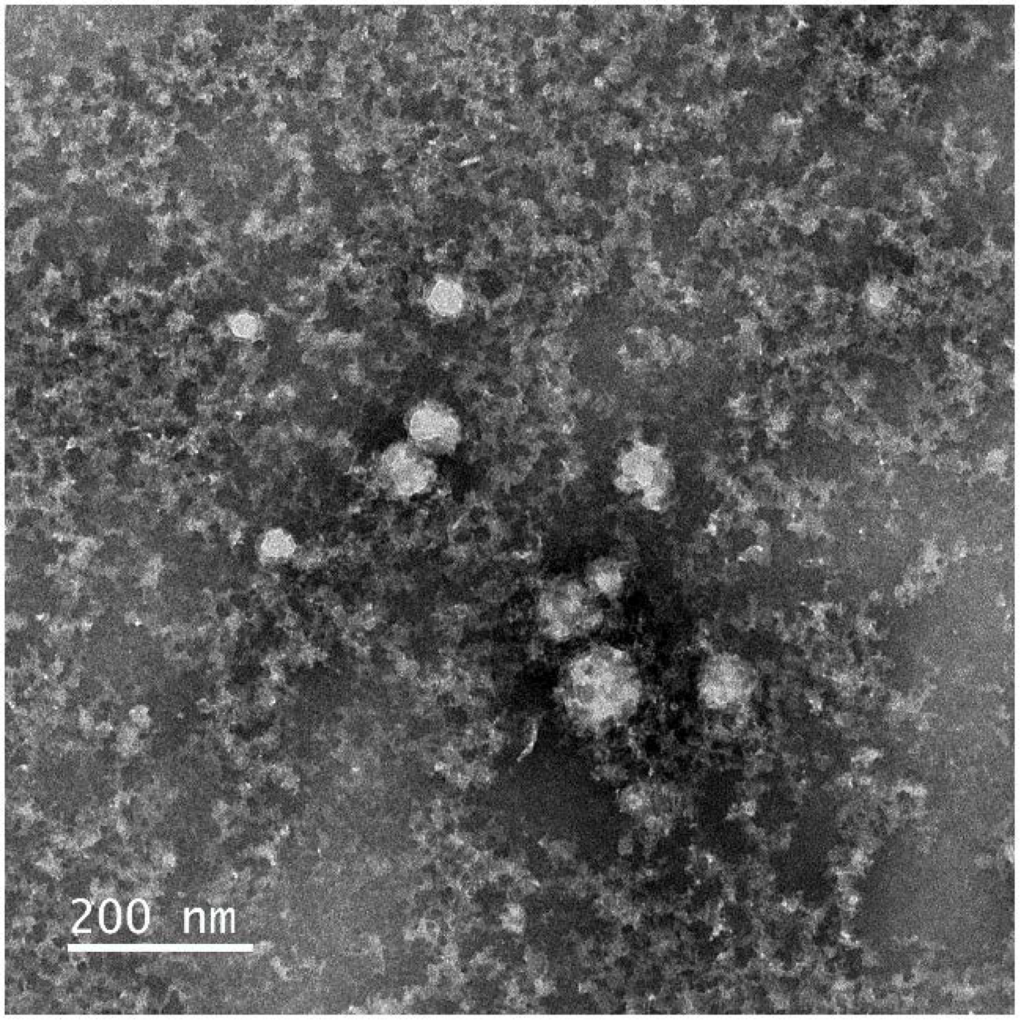 Vaccines 09 00157 g003