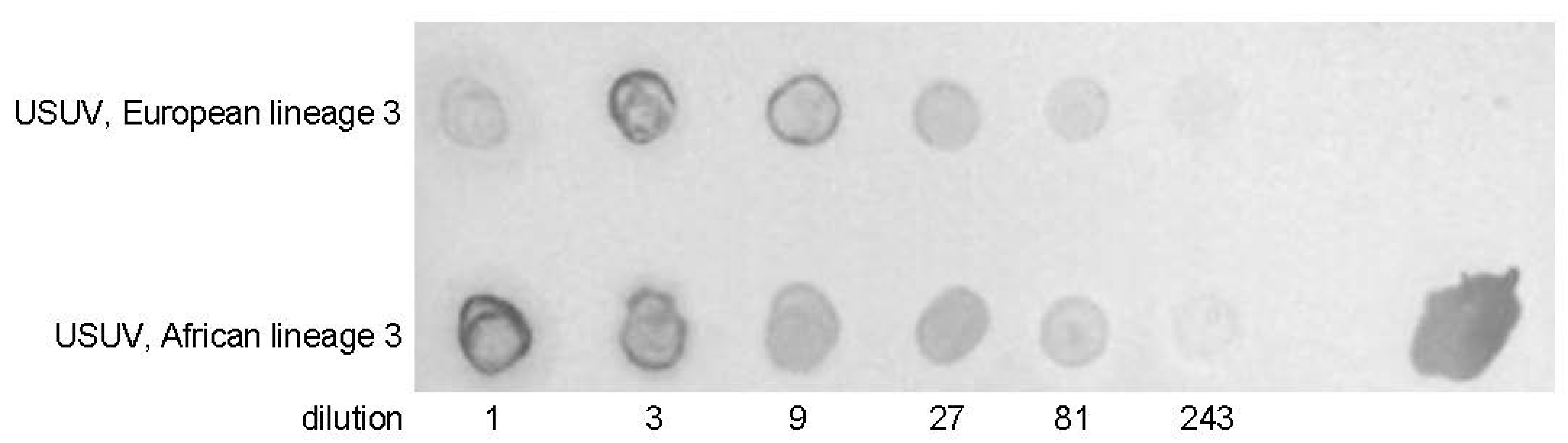 Vaccines 09 00157 g006