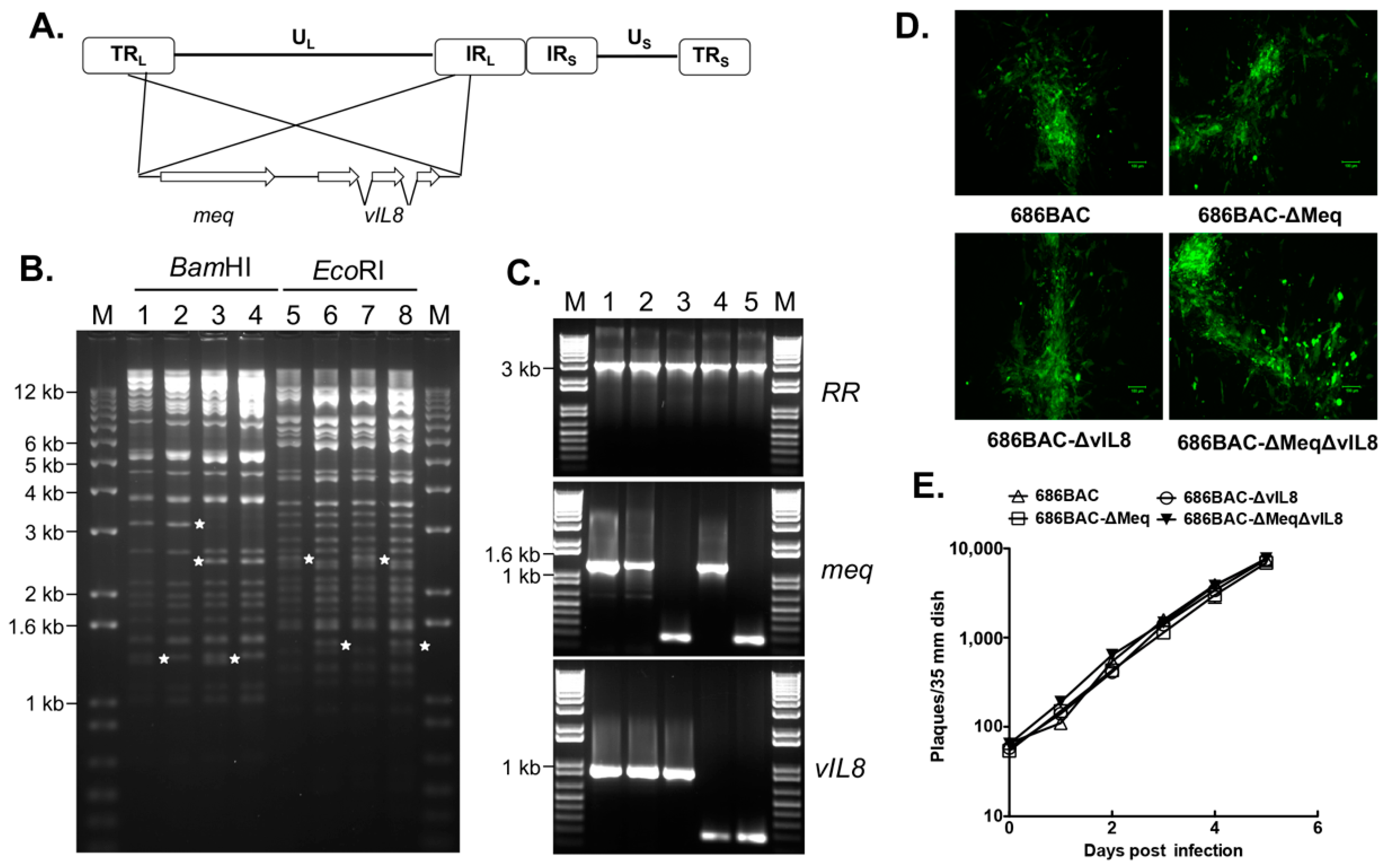Vaccines 09 00159 g001