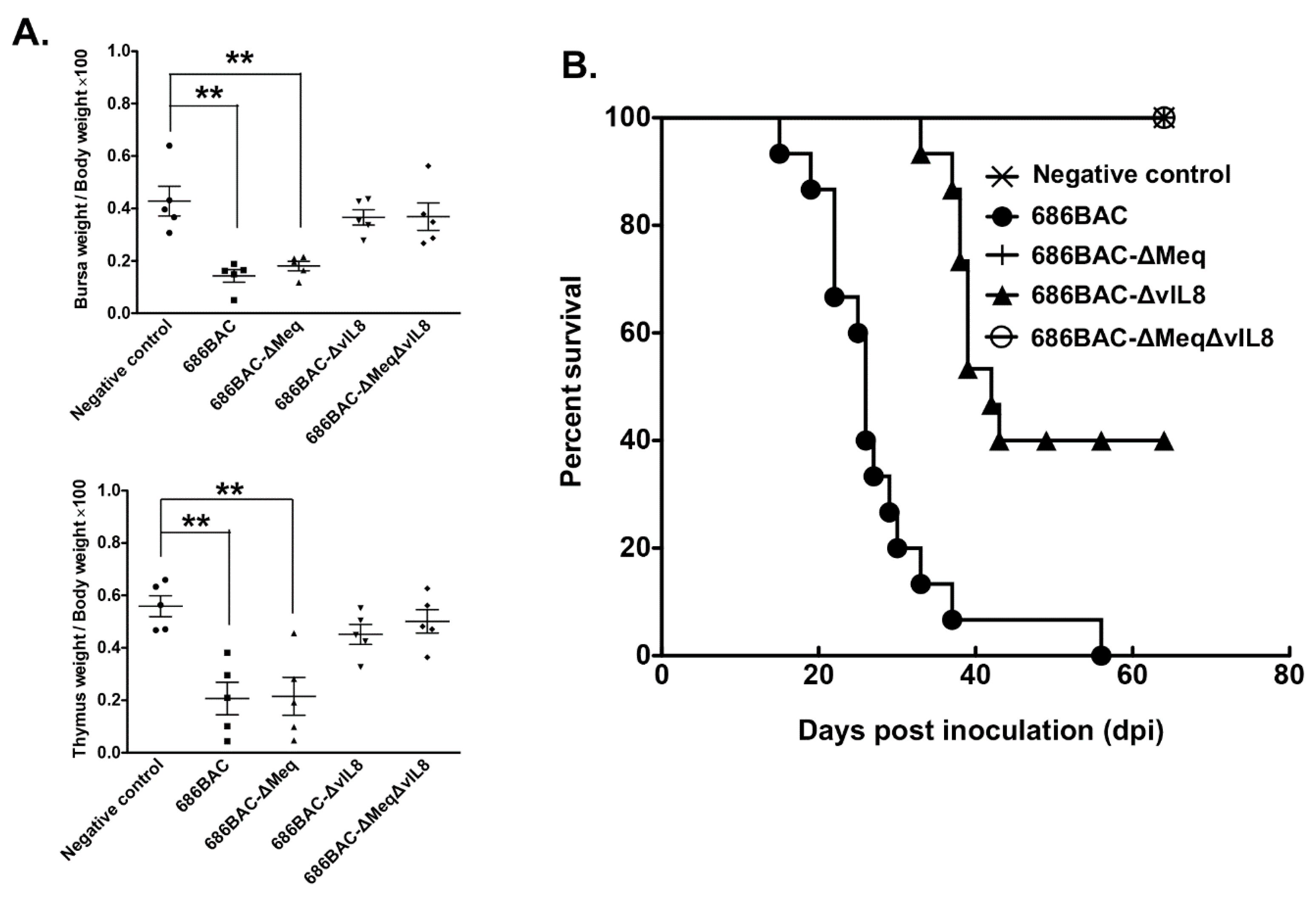 Vaccines 09 00159 g004