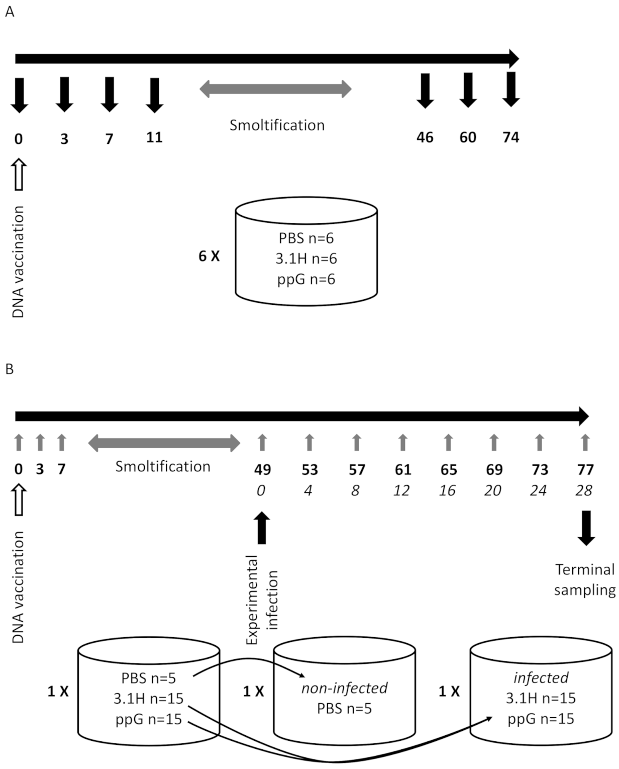 Vaccines 09 00163 g001