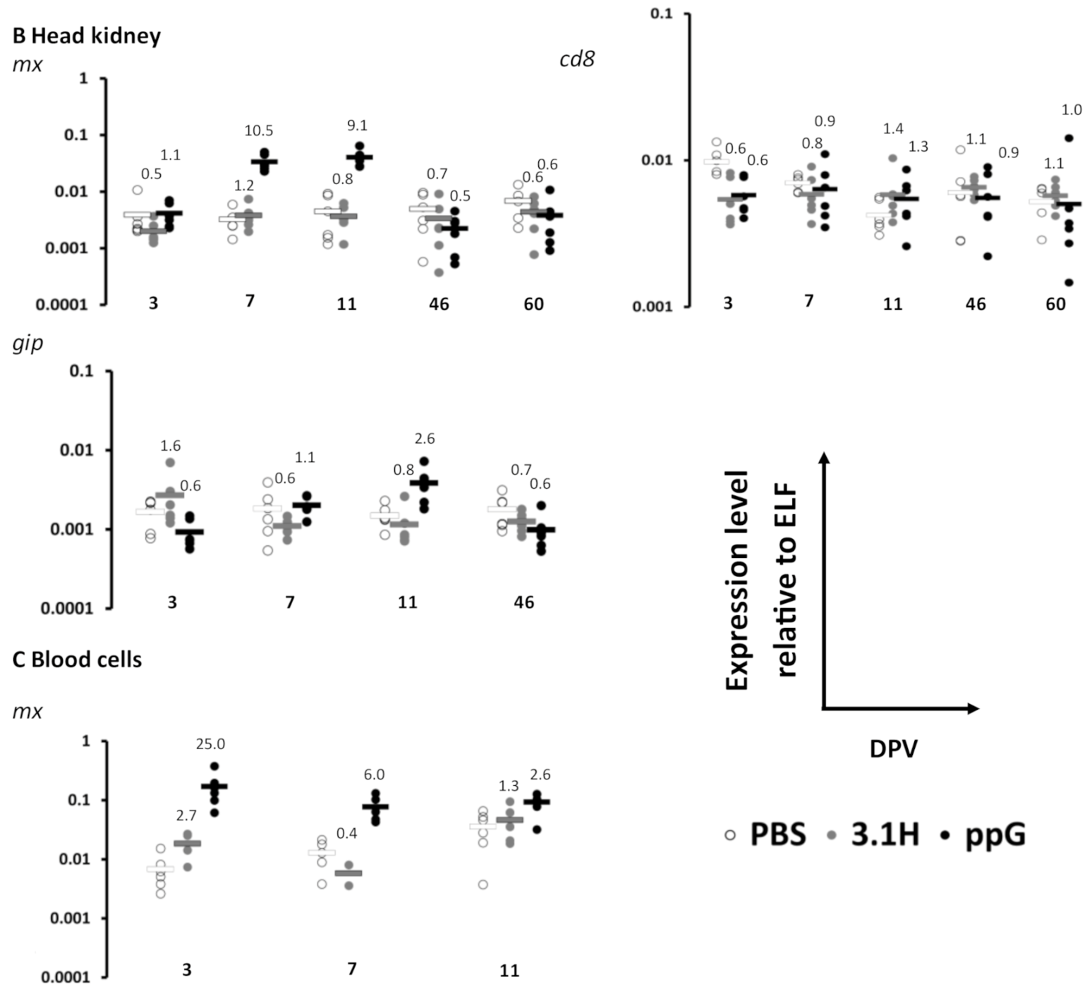 Vaccines 09 00163 g002b