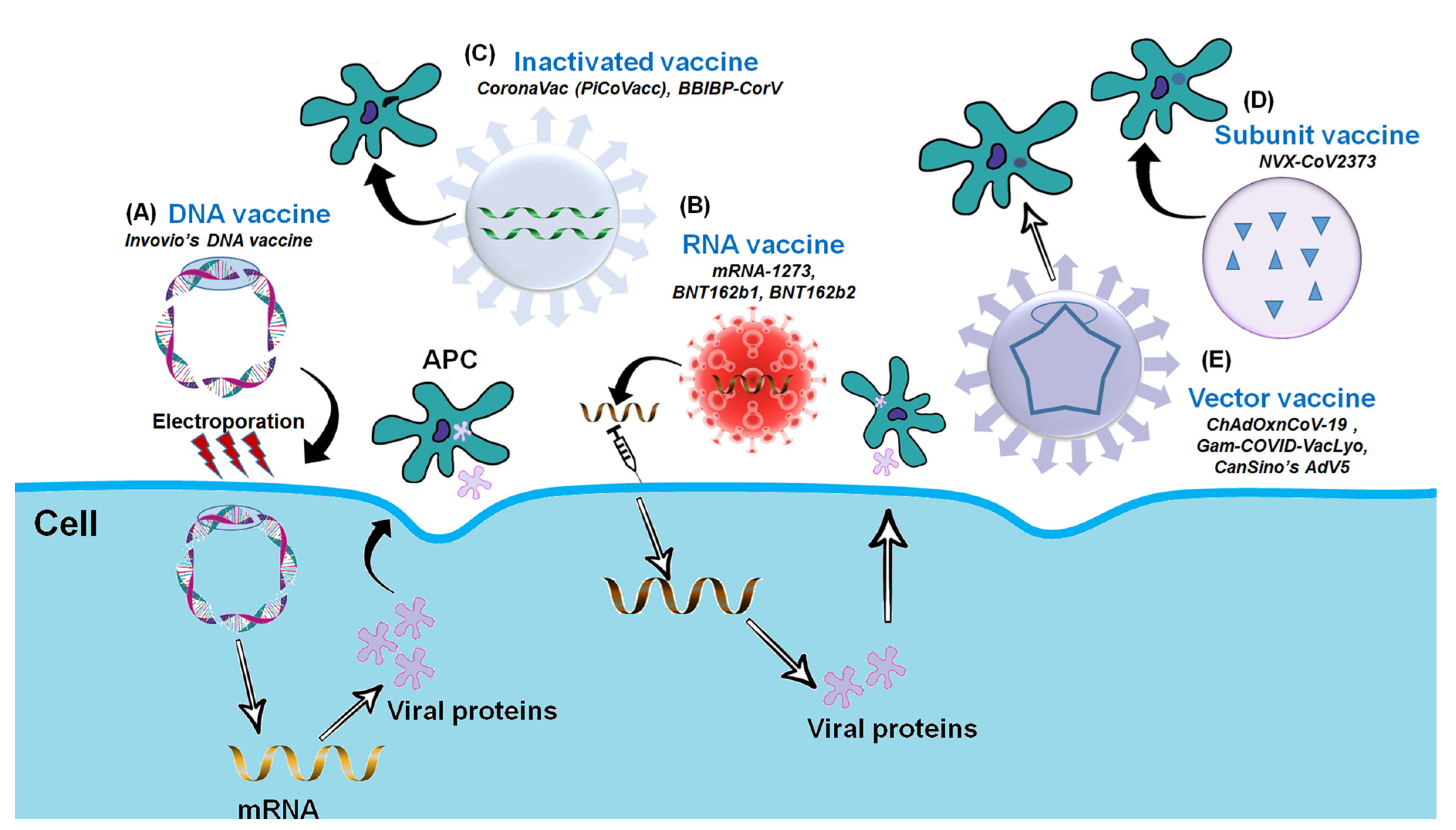 Vaccines 09 00171 g002