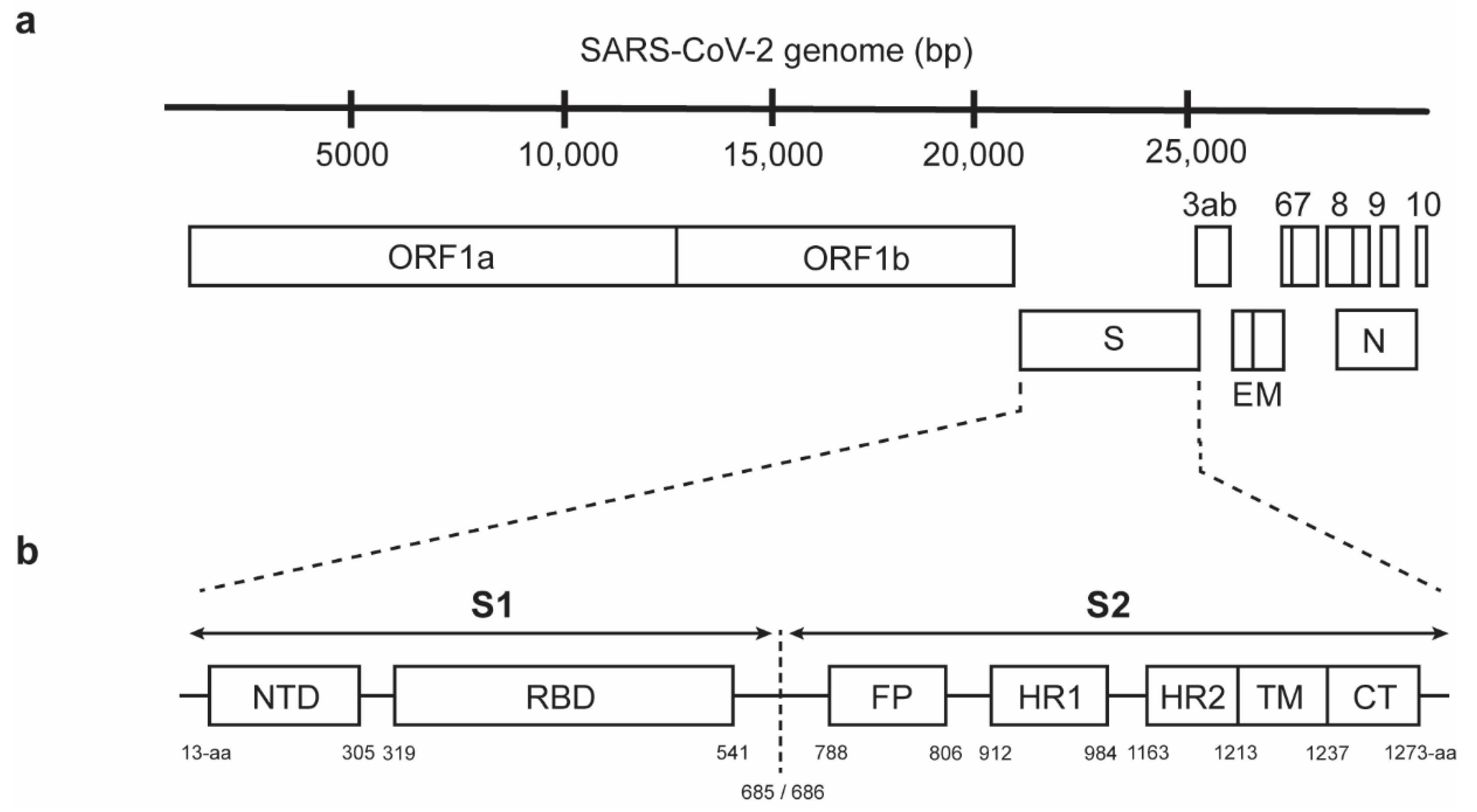 Vaccines 09 00178 g001