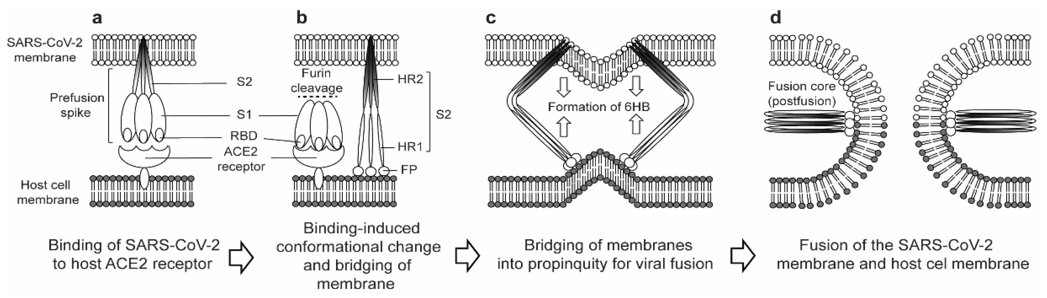 Vaccines 09 00178 g002
