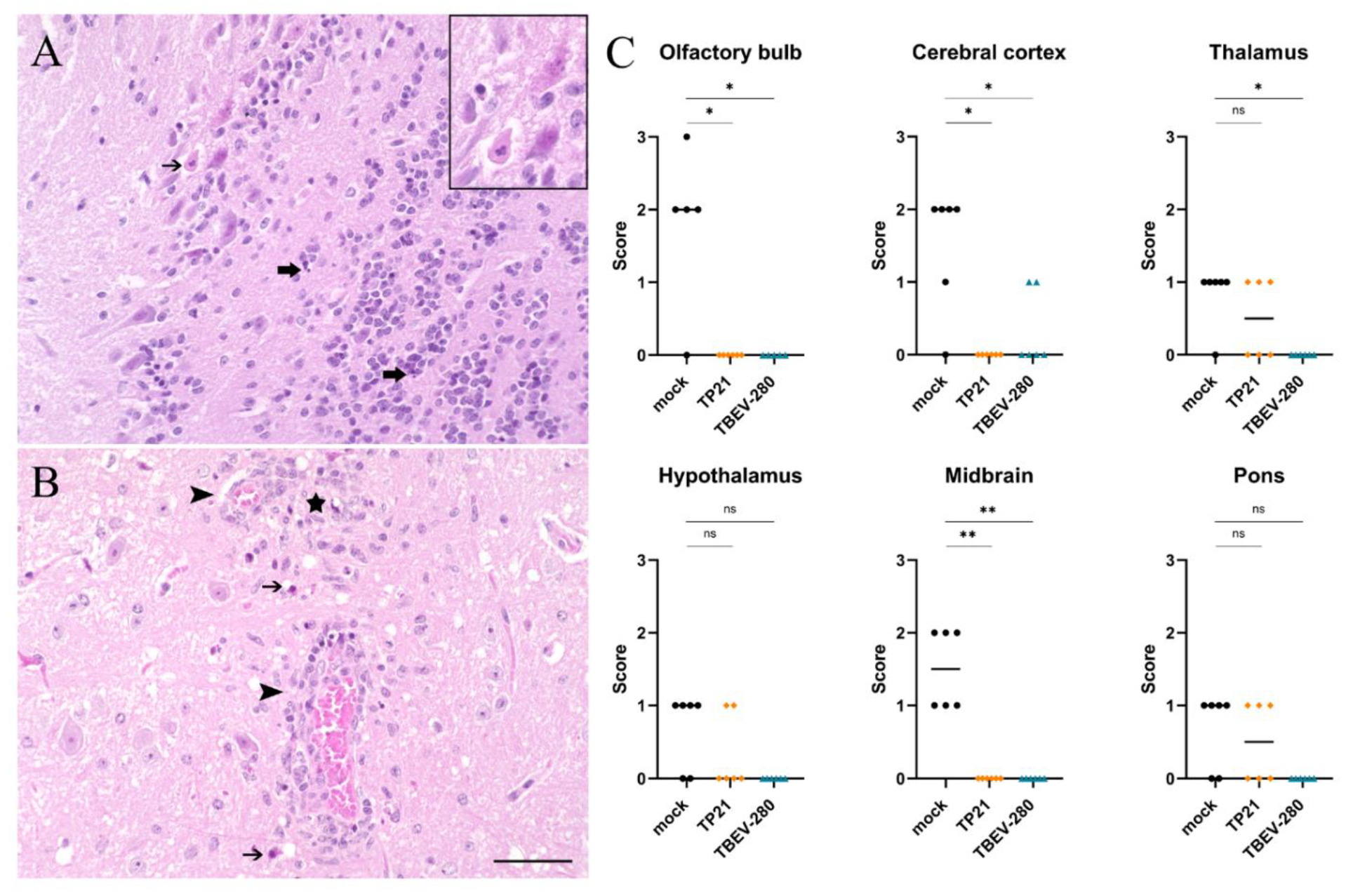 Vaccines 09 00196 g004 Vaccines 09 00196 g004