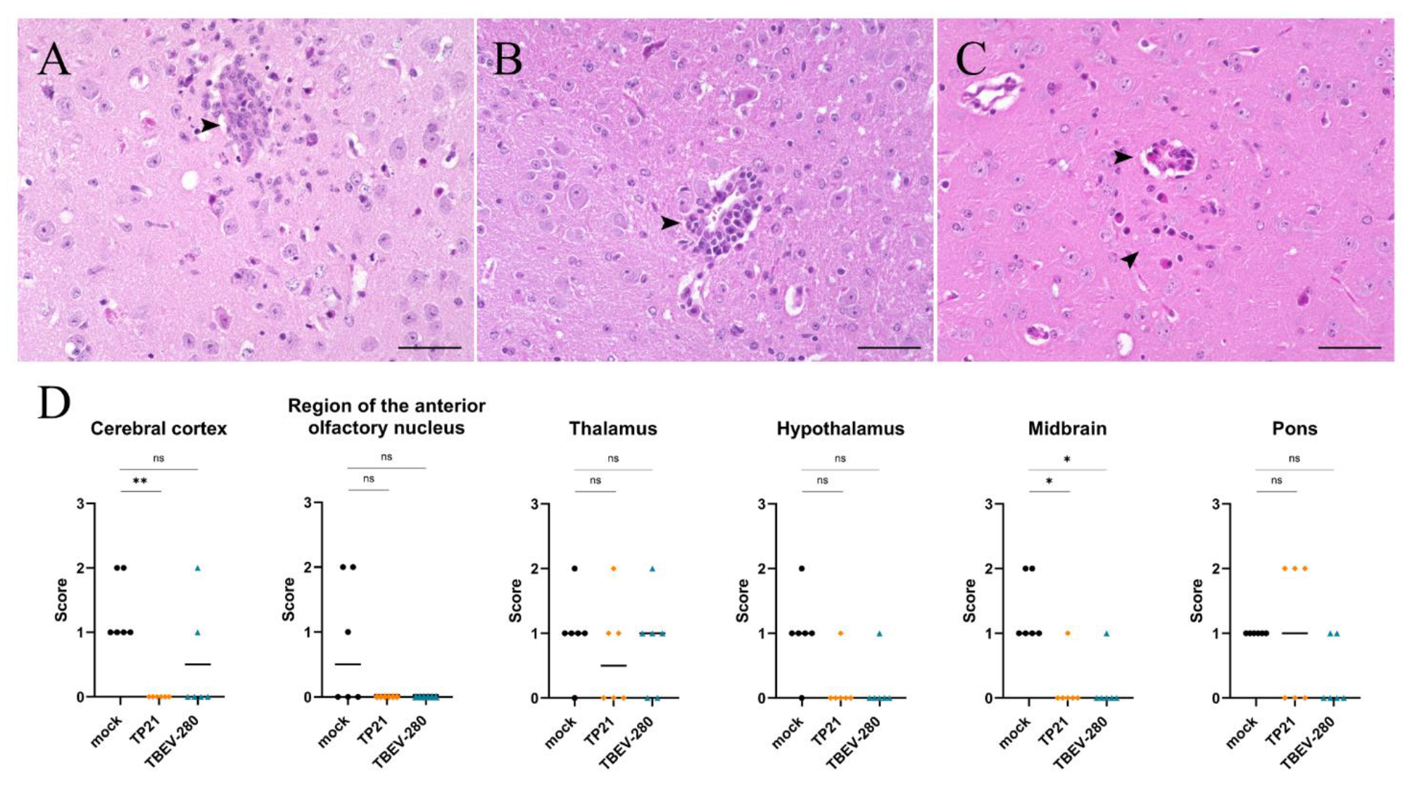 Vaccines 09 00196 g005 Vaccines 09 00196 g005