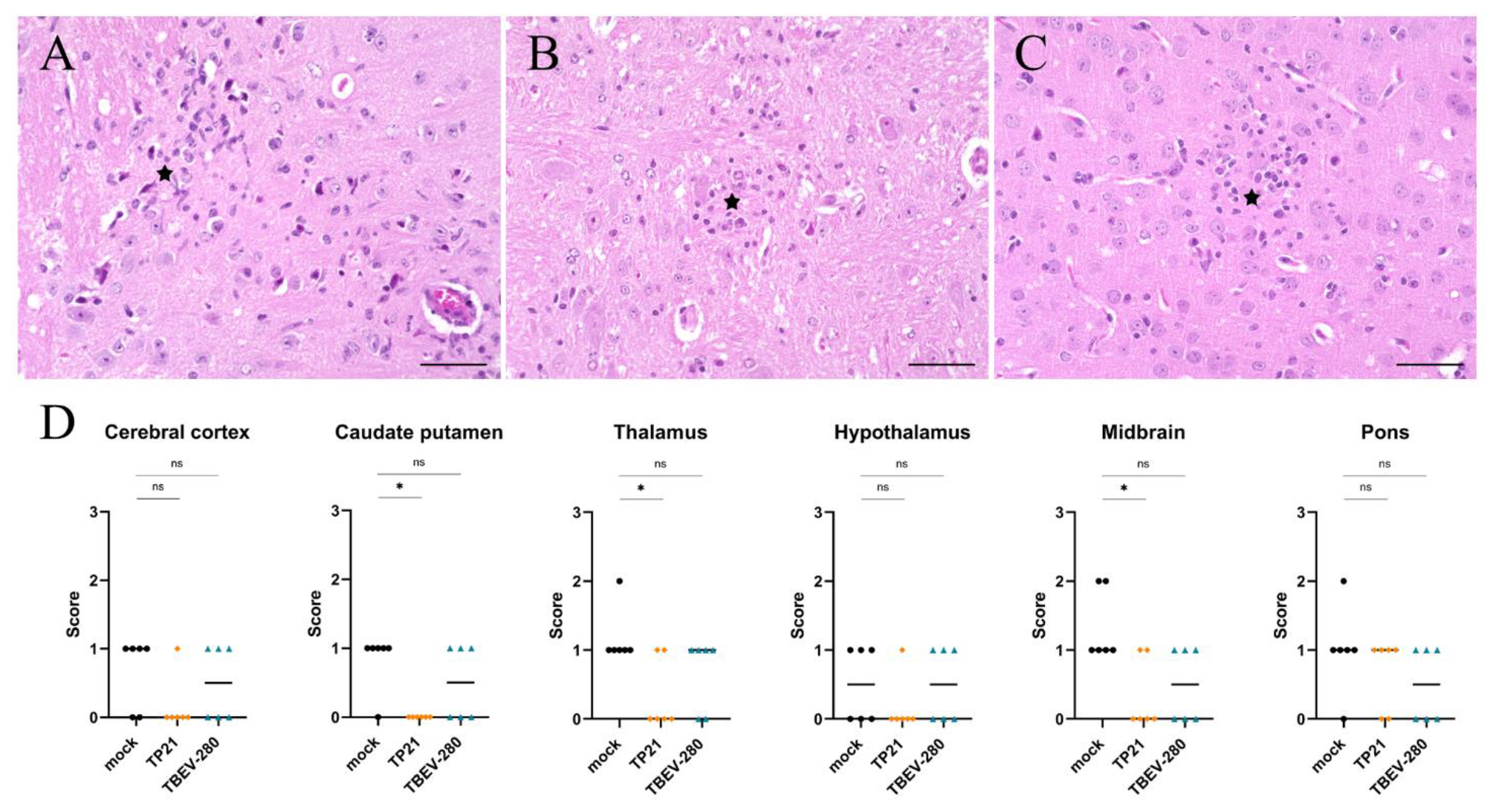 Vaccines 09 00196 g006 Vaccines 09 00196 g006