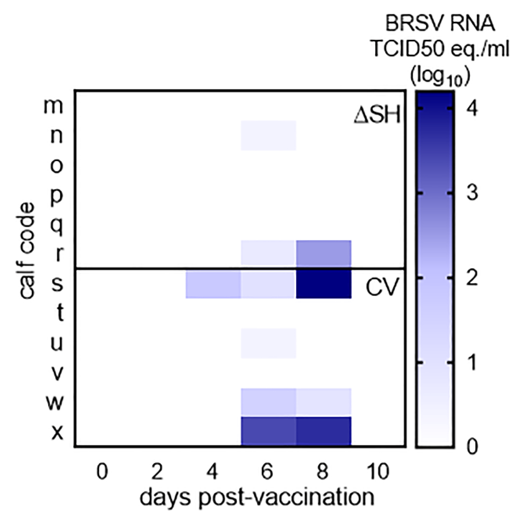 Vaccines 09 00236 g002 Vaccines 09 00236 g002