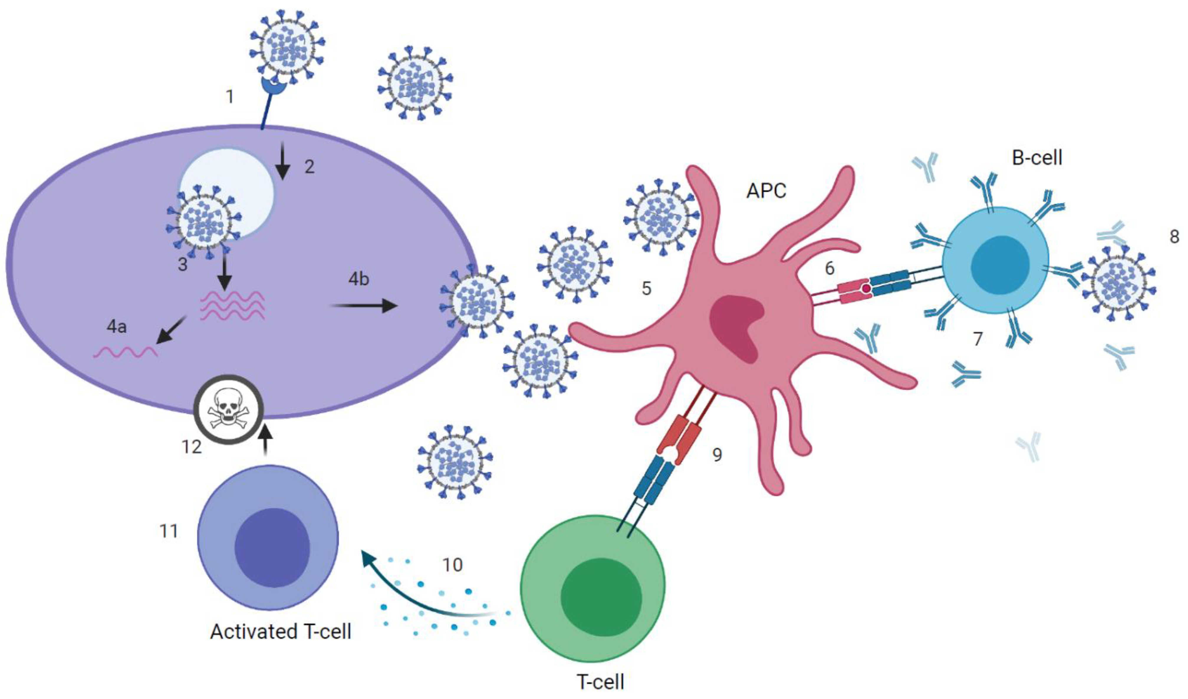 Vaccines 09 00238 g001