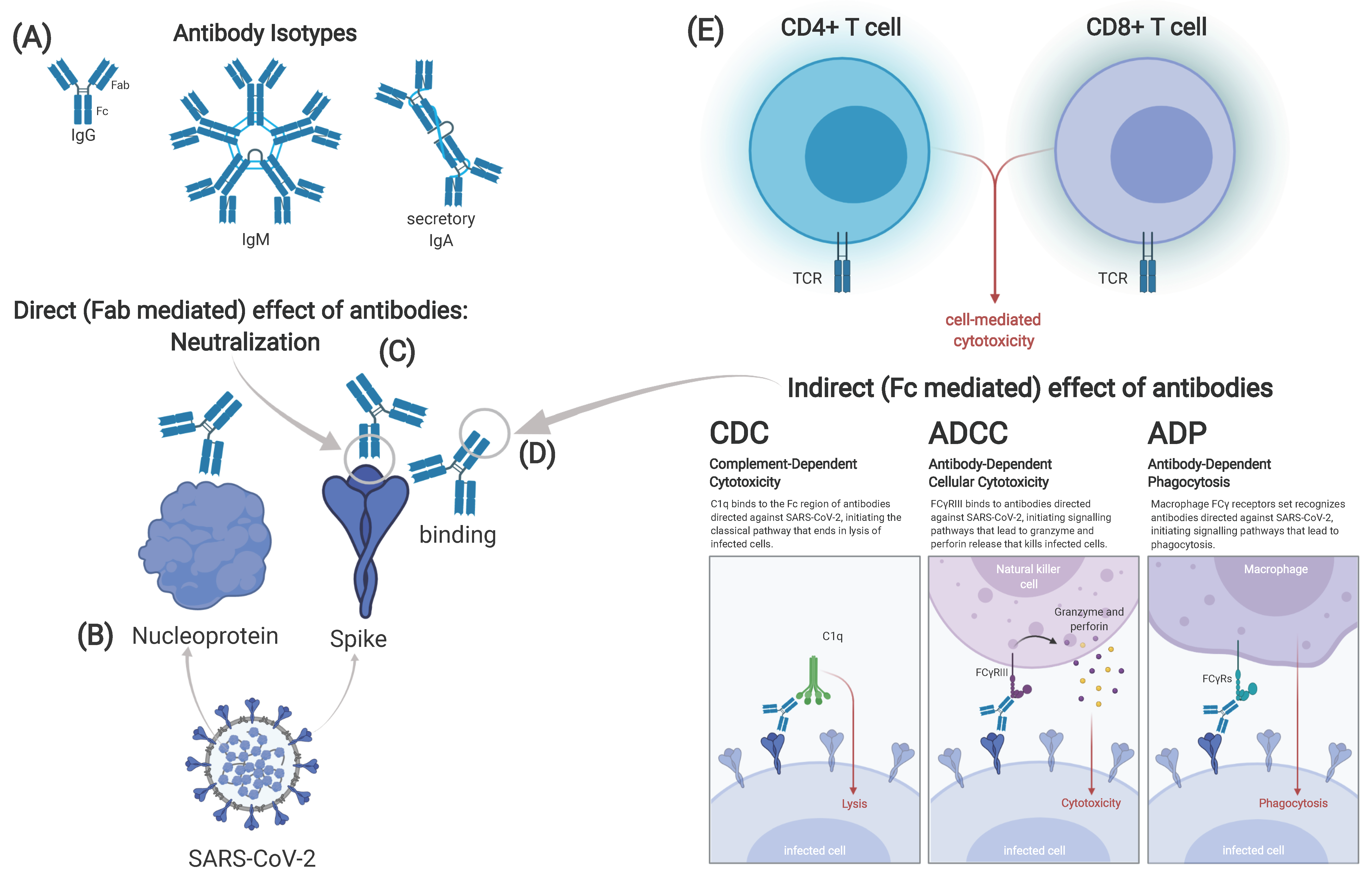 Vaccines 09 00238 g003