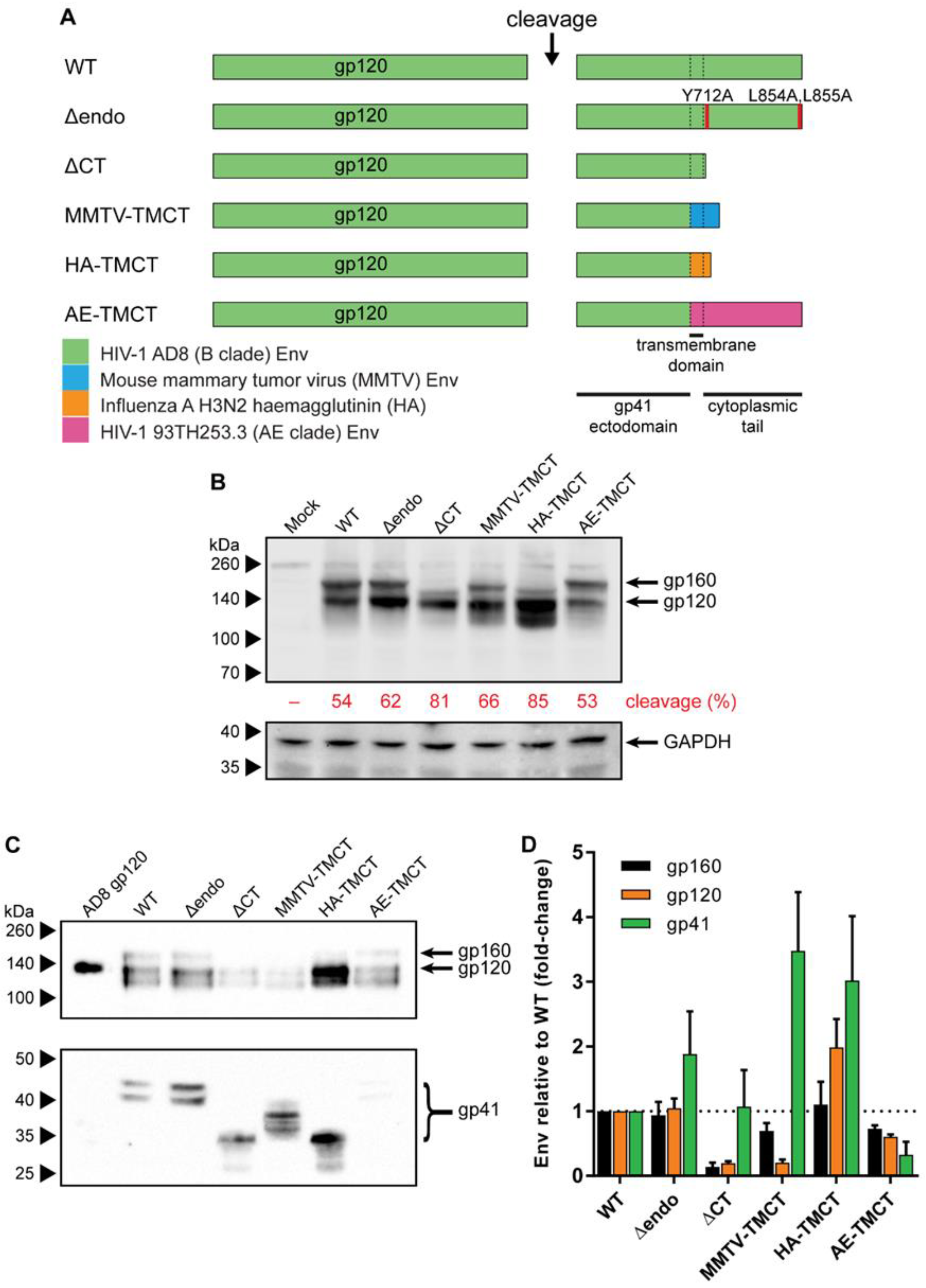 Vaccines 09 00239 g001