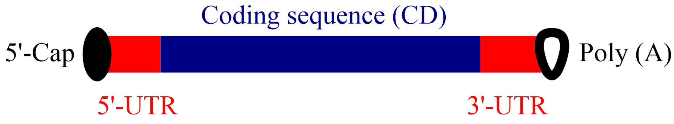 Vaccines 09 00244 g001 Vaccines 09 00244 g001