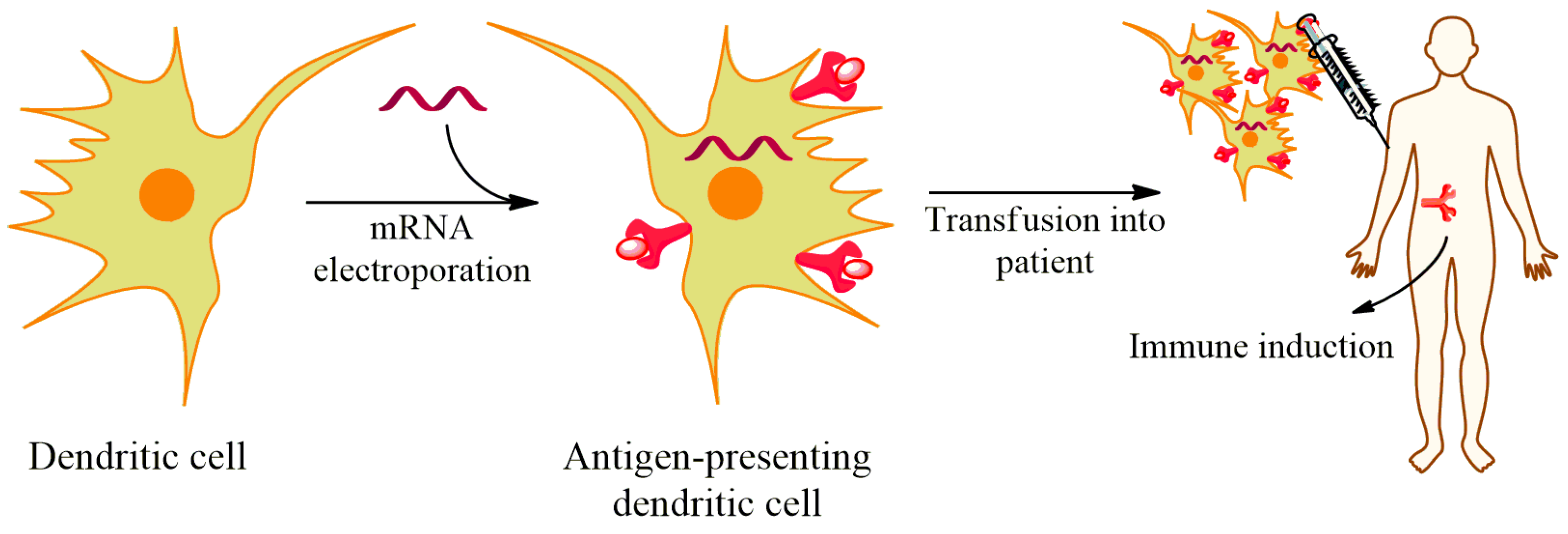 Vaccines 09 00244 g004 Vaccines 09 00244 g004