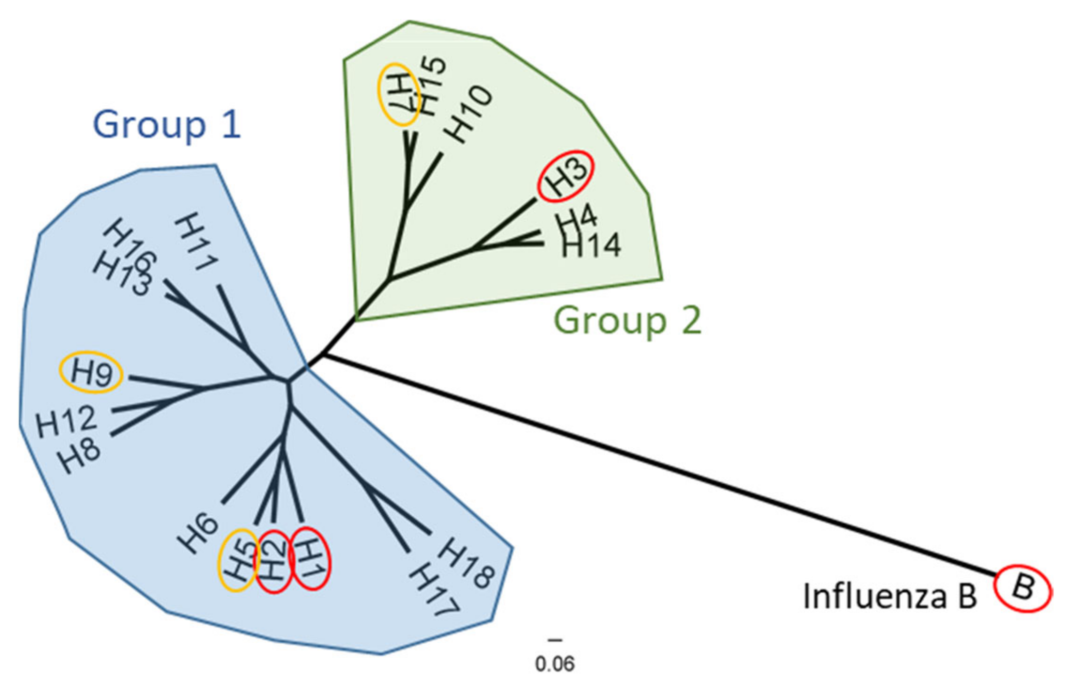 Vaccines 09 00257 g001