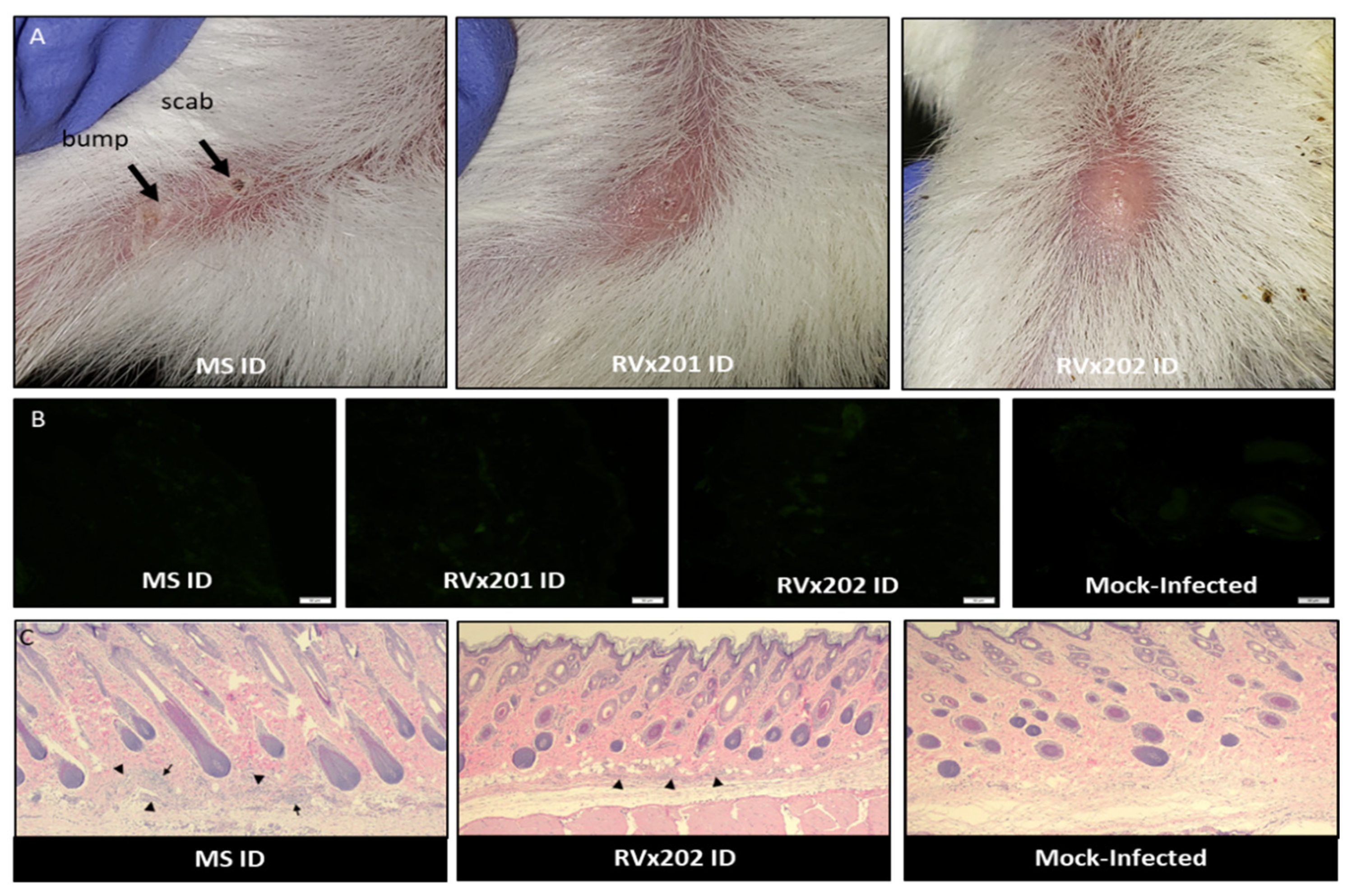 Vaccines 09 00258 g002 Vaccines 09 00258 g002