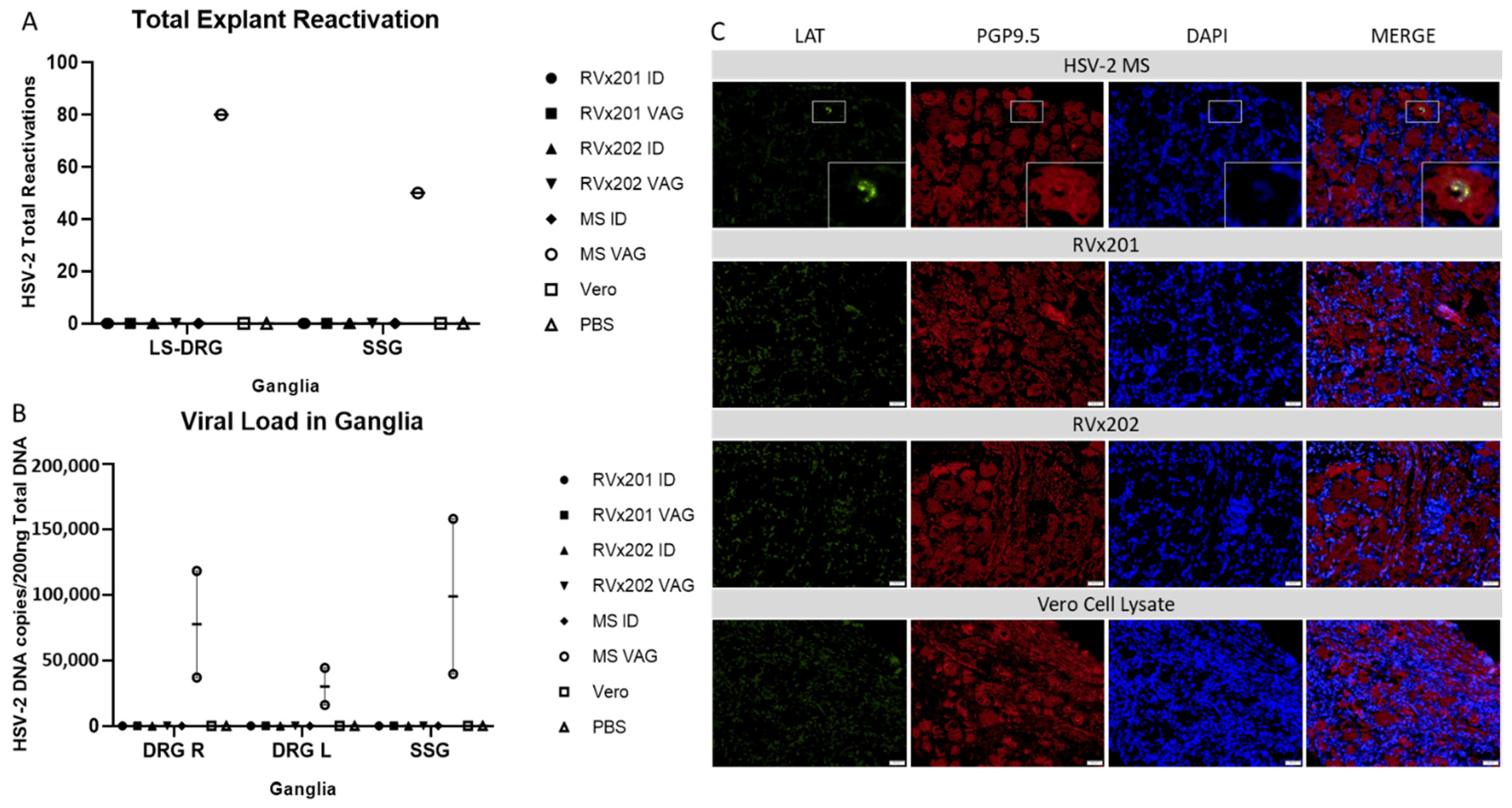 Vaccines 09 00258 g004 Vaccines 09 00258 g004