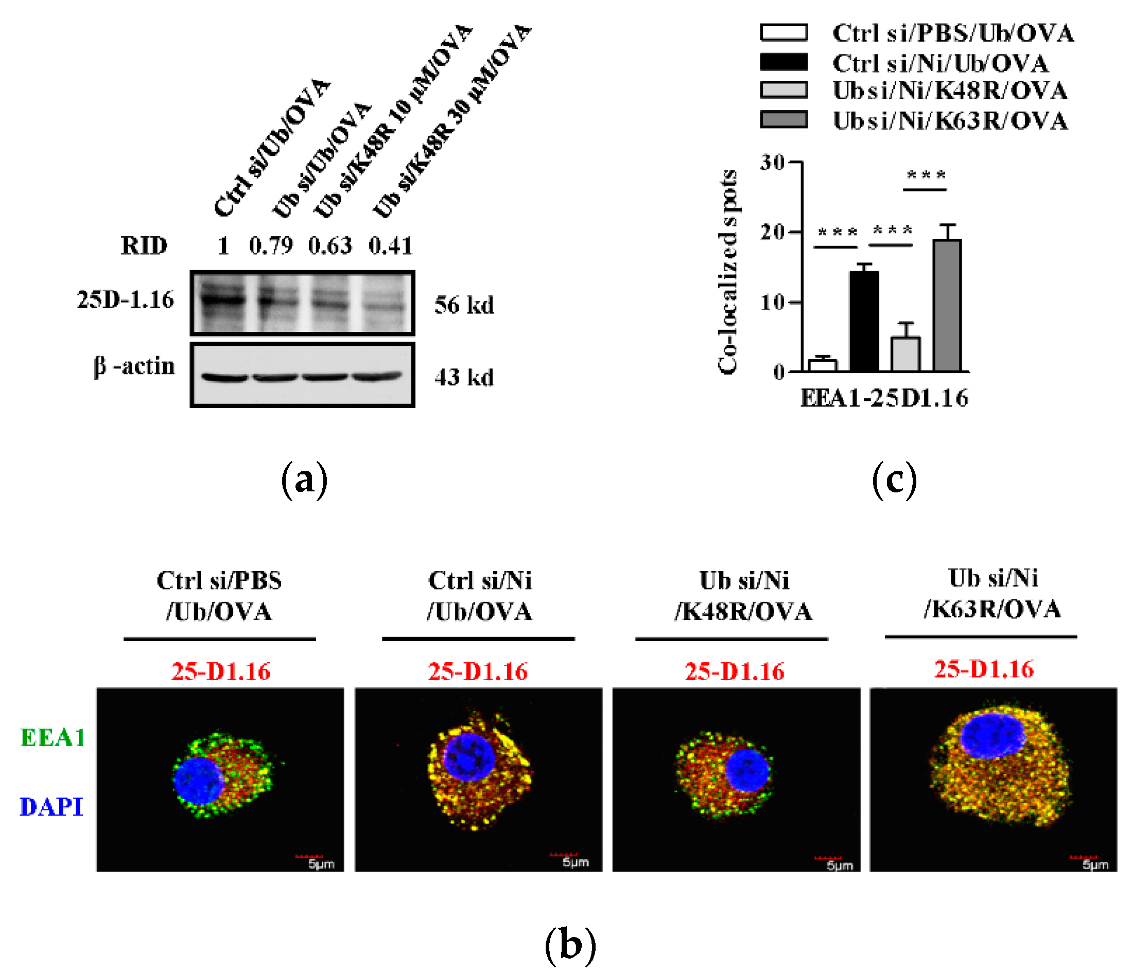 Vaccines 09 00278 g002