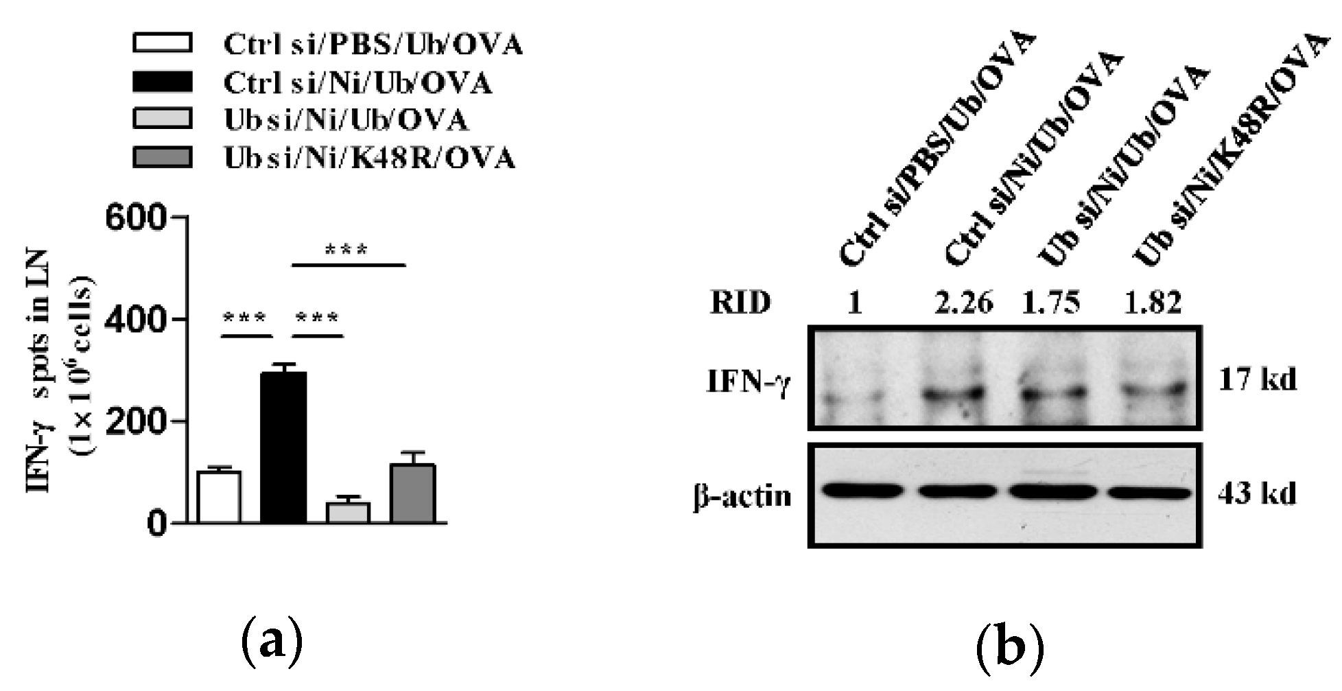Vaccines 09 00278 g003