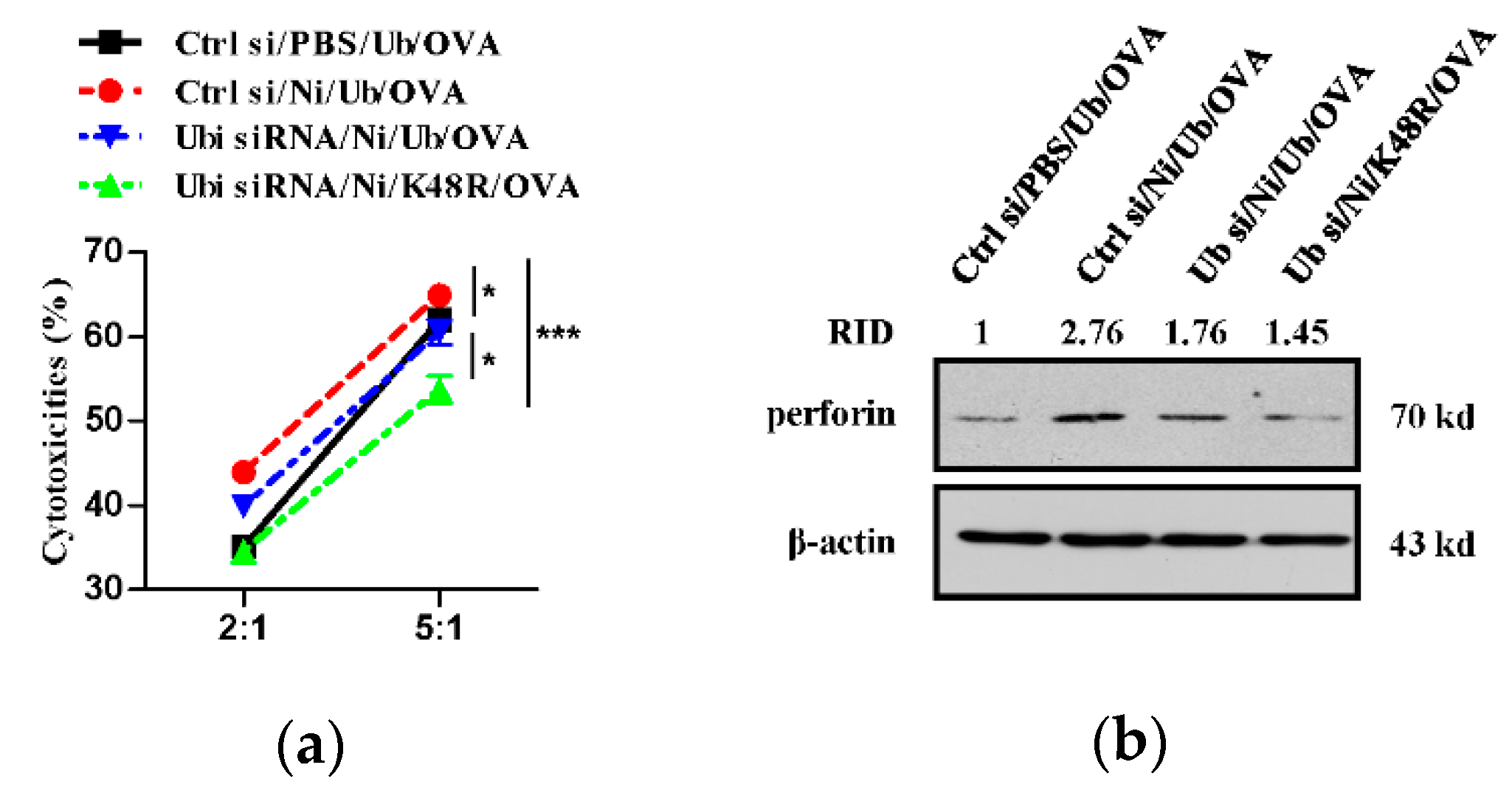 Vaccines 09 00278 g004