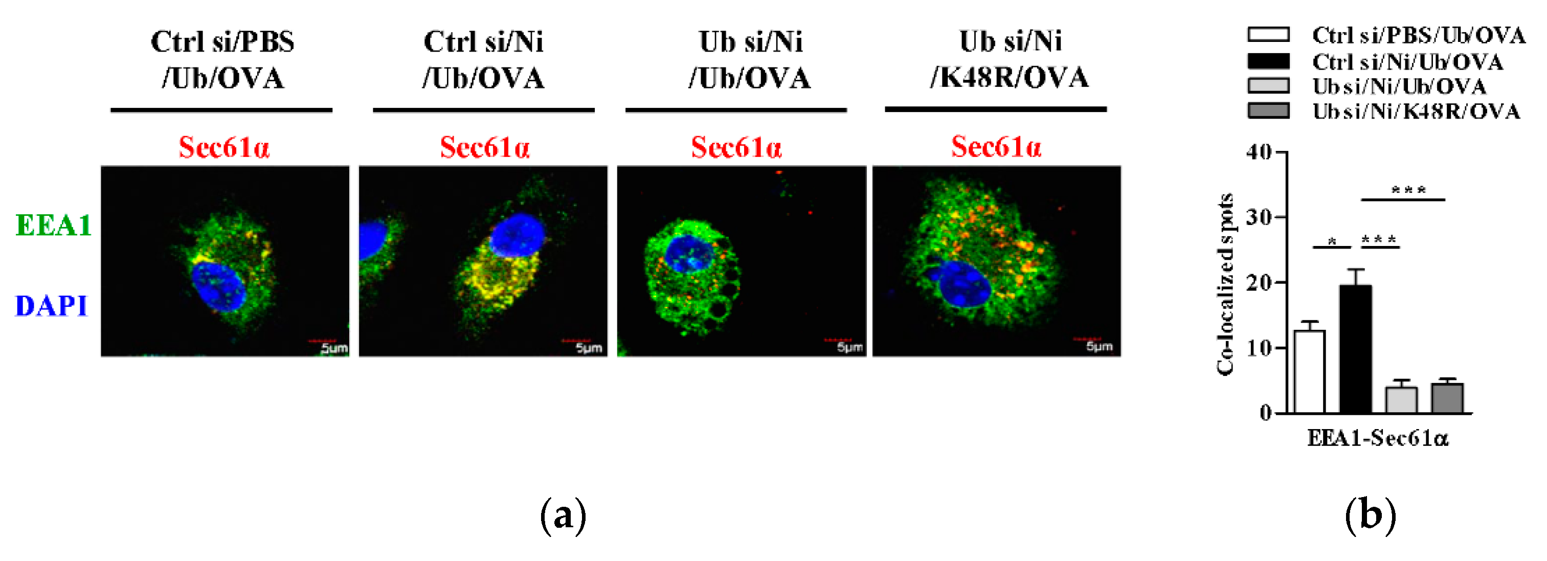 Vaccines 09 00278 g006a