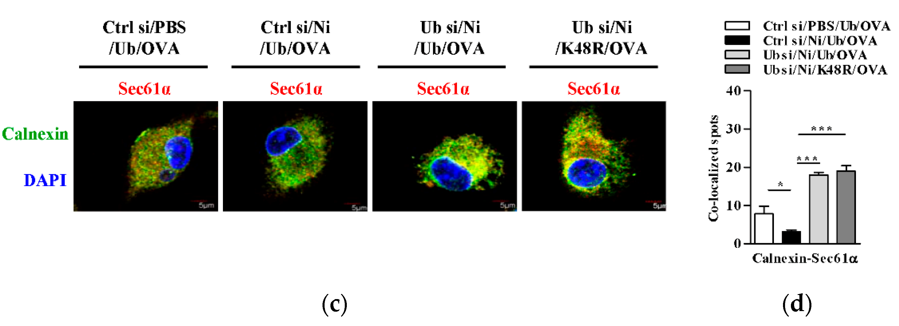 Vaccines 09 00278 g006b