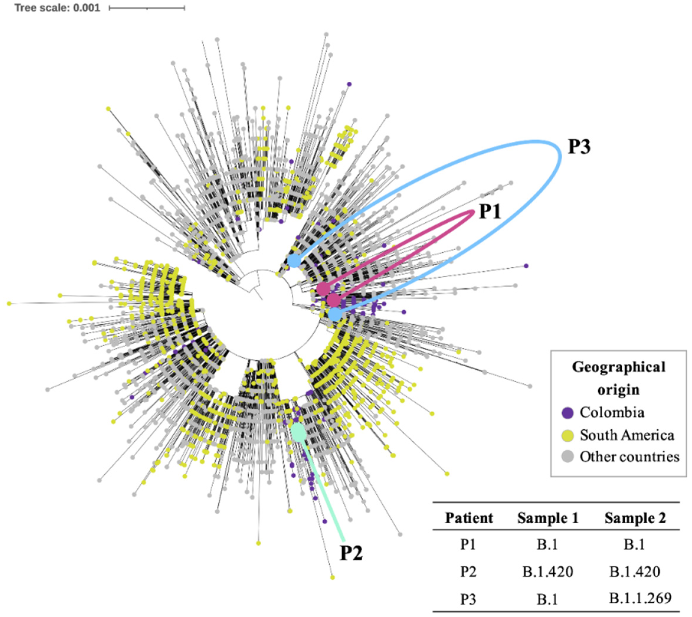 Vaccines 09 00282 g002