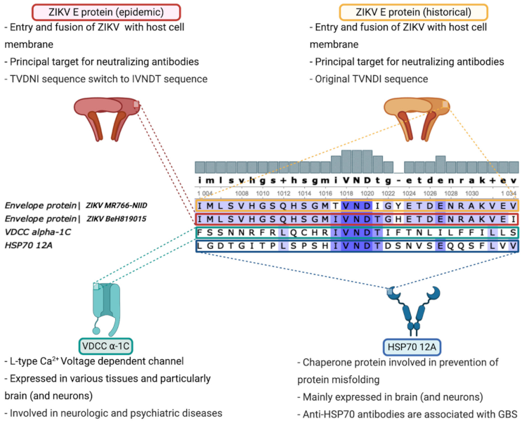 Vaccines 09 00283 g001 Vaccines 09 00283 g001