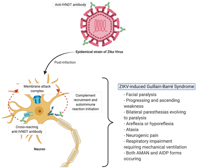Vaccines 09 00283 g003 Vaccines 09 00283 g003