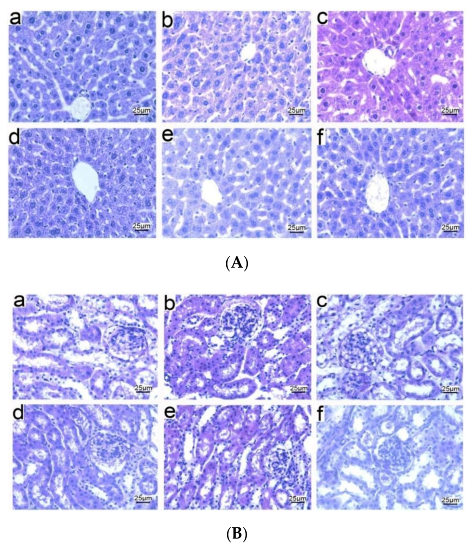 Vaccines 09 00304 g006