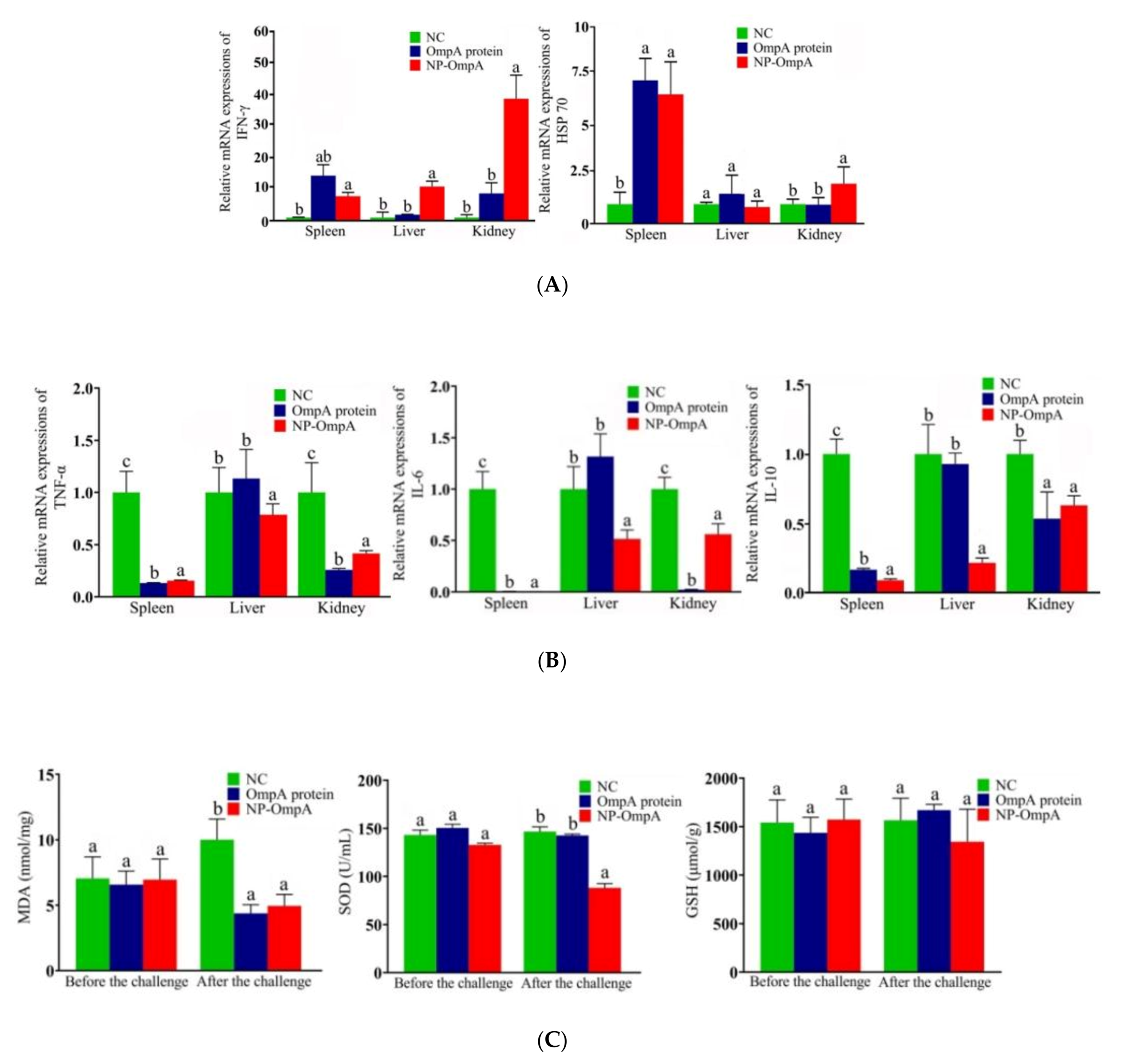 Vaccines 09 00304 g007