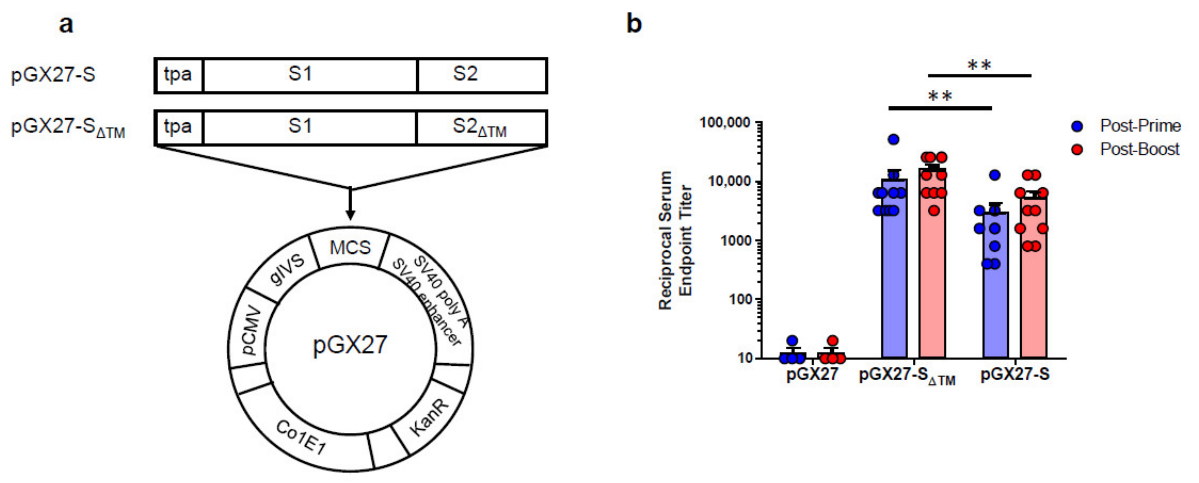 Vaccines 09 00307 g001 Vaccines 09 00307 g001