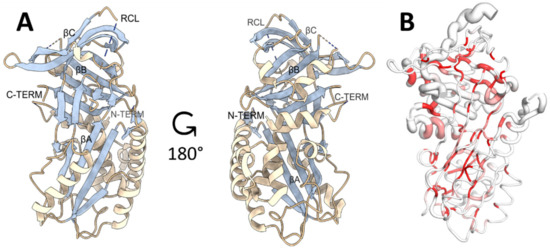 Vaccines 09 00322 g001