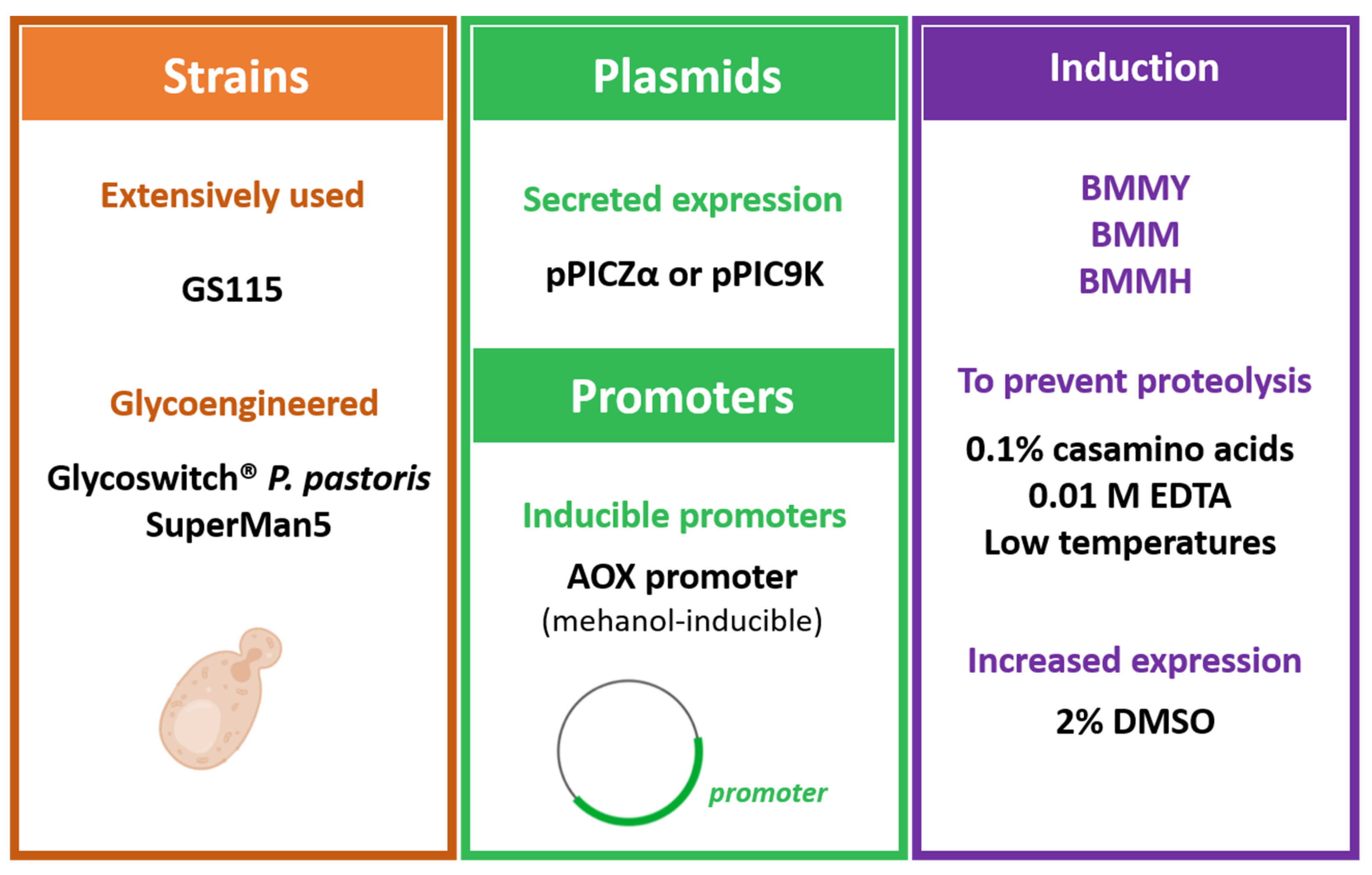Vaccines 09 00328 g004 Vaccines 09 00328 g004