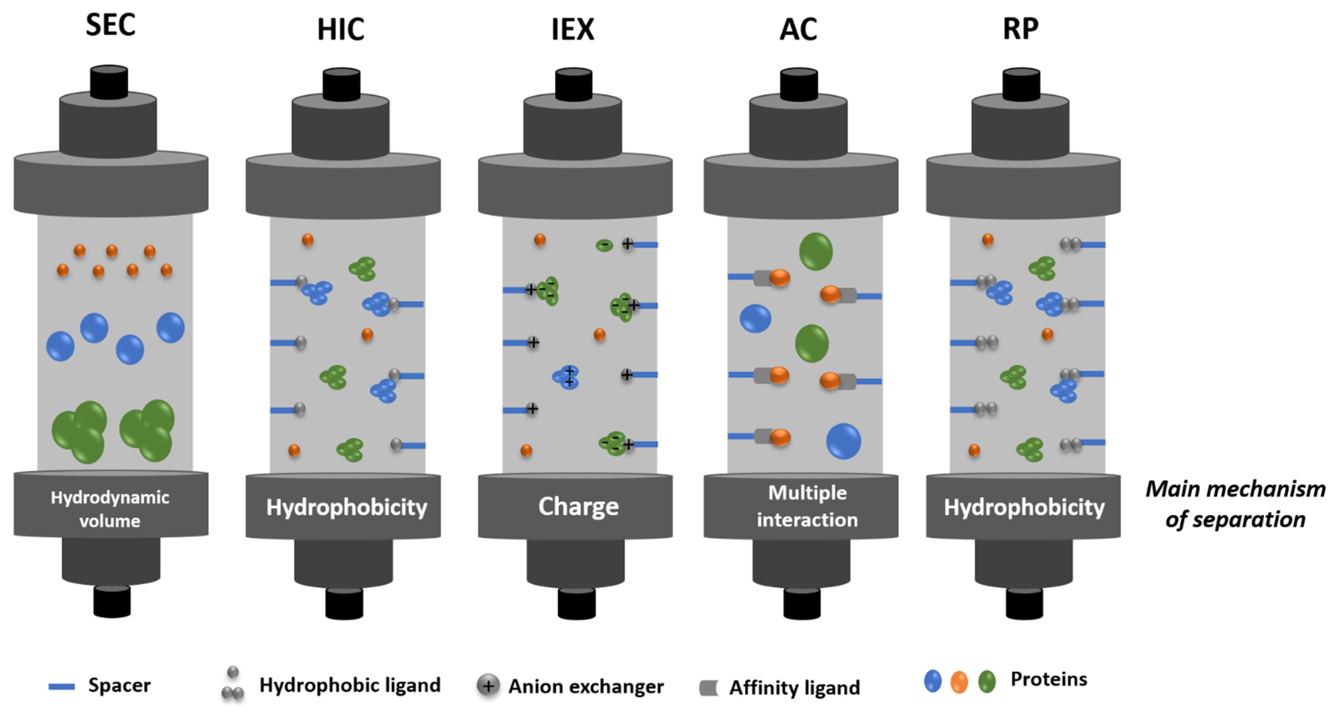 Vaccines 09 00328 g007 Vaccines 09 00328 g007