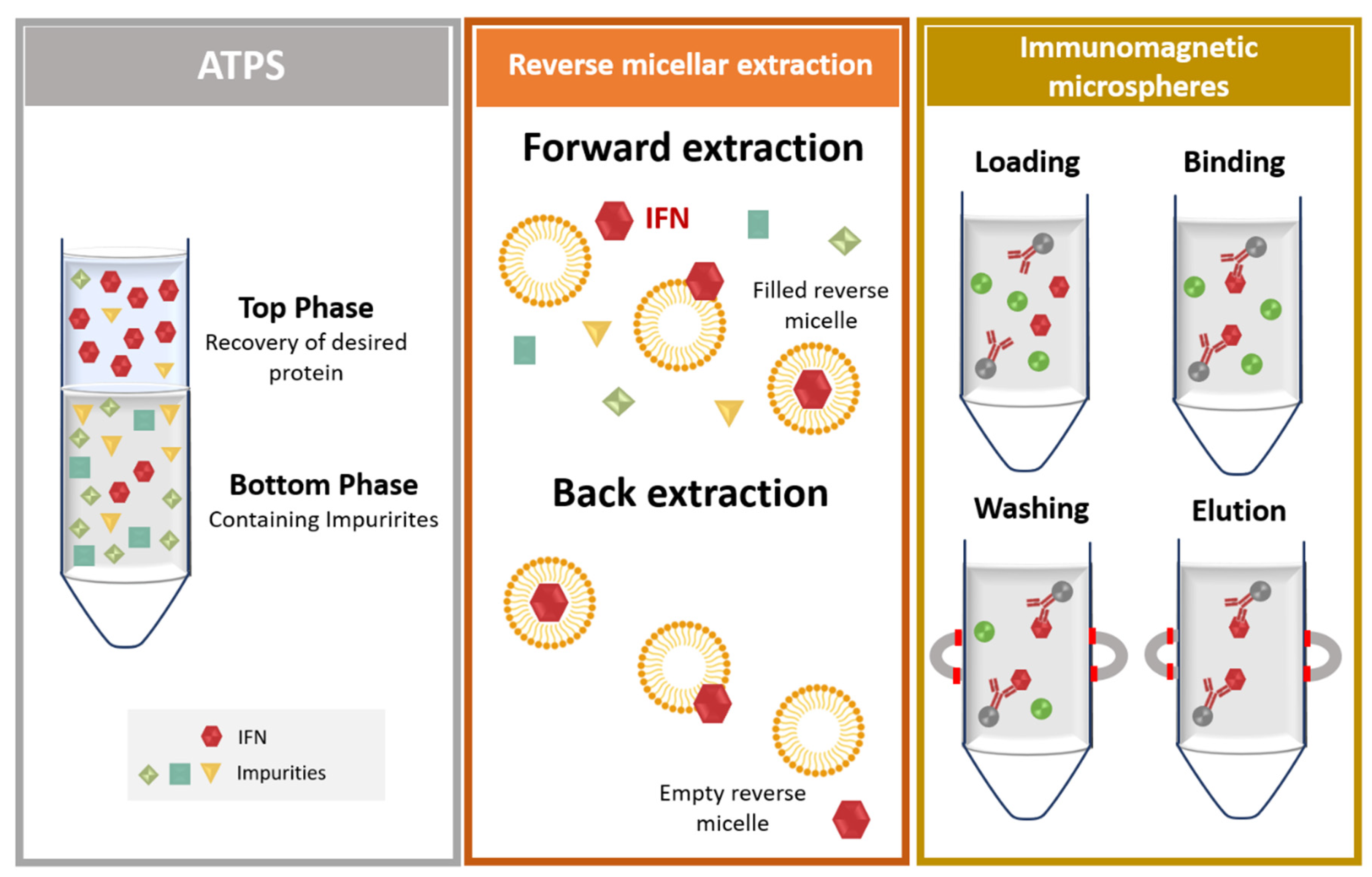 Vaccines 09 00328 g008 Vaccines 09 00328 g008